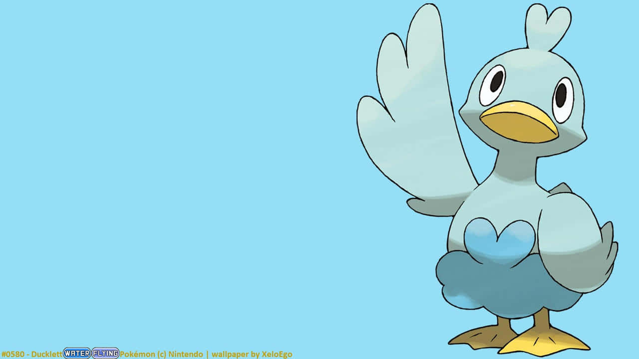 Ducklett, light blue feathers, yellow beak, HD Desktop Wallpaper