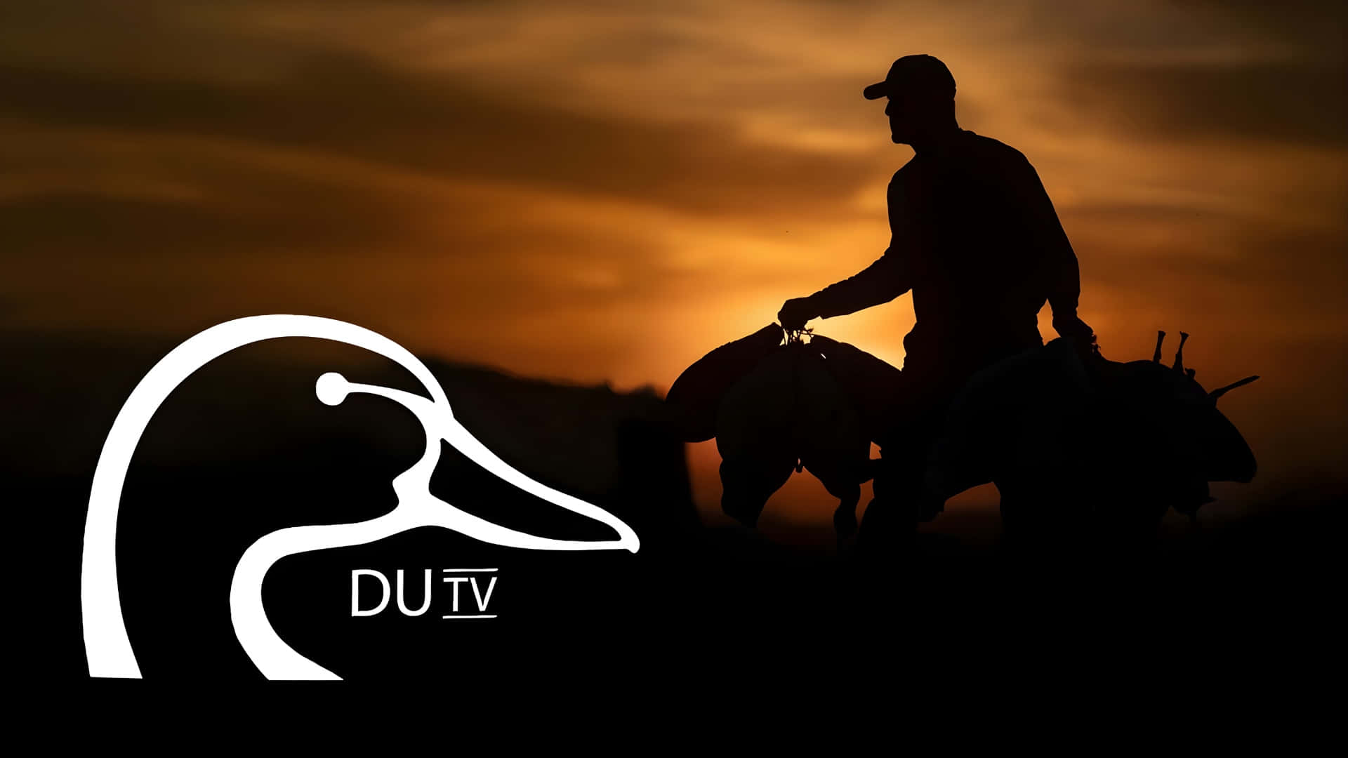 Ducks Unlimited, fiery orange sunset sky, white duck logo, Full HD Desktop Wallpaper