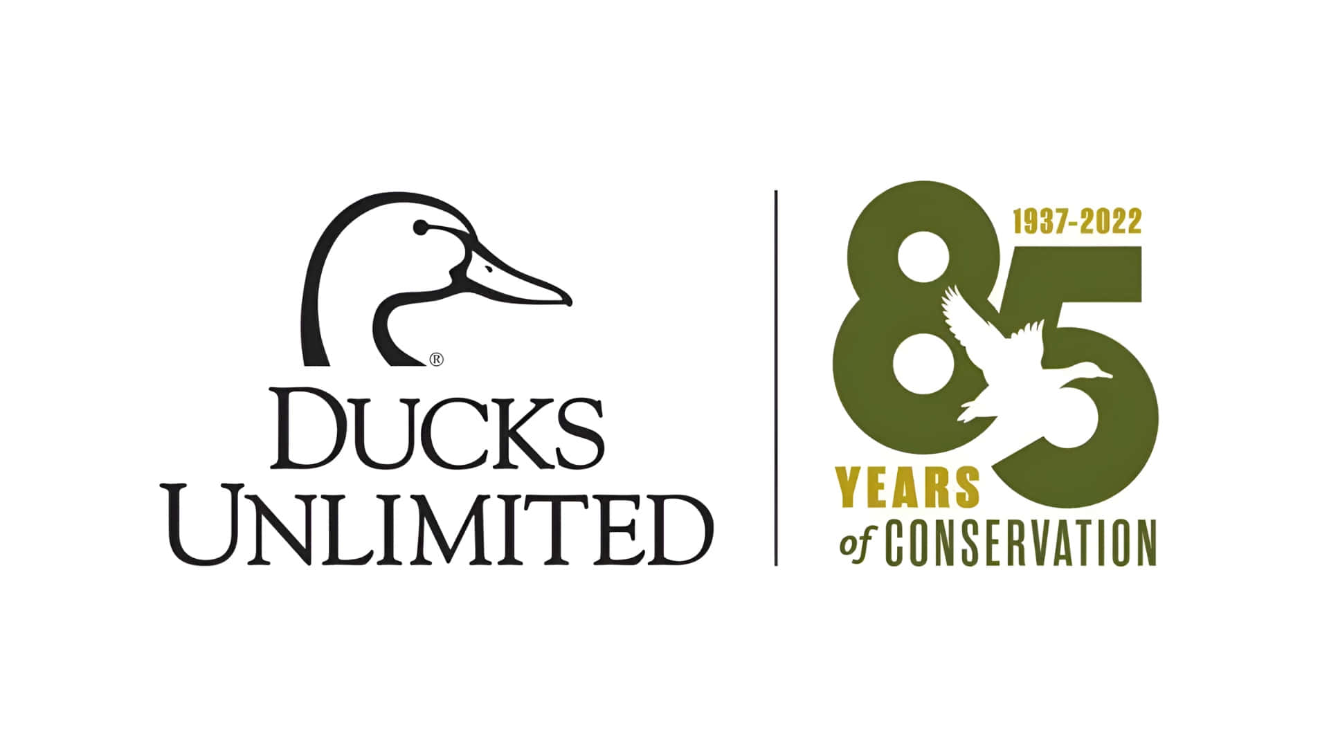 Ducks Unlimited, olive green, 85th anniversary emblem, Full HD Desktop Wallpaper