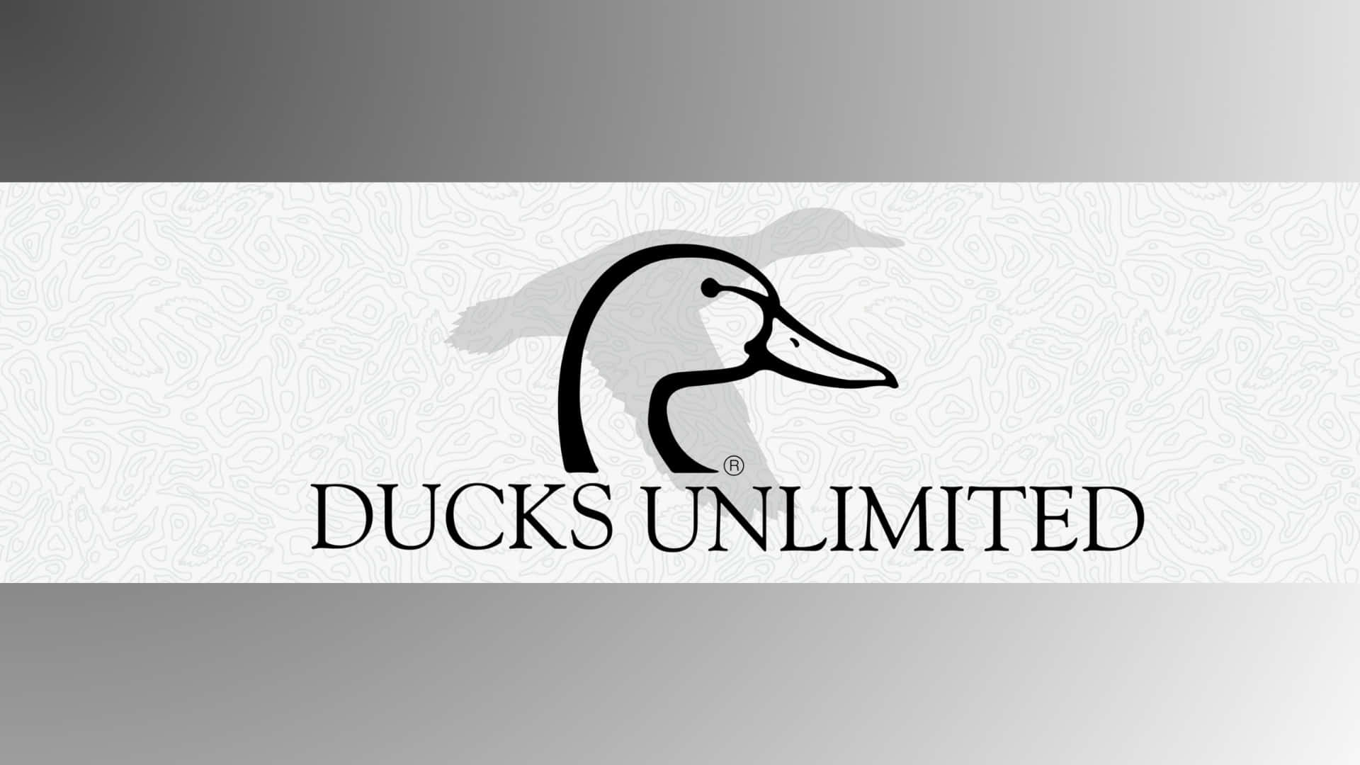 Ducks Unlimited, black duck logo, textured white band, Full HD Desktop Wallpaper