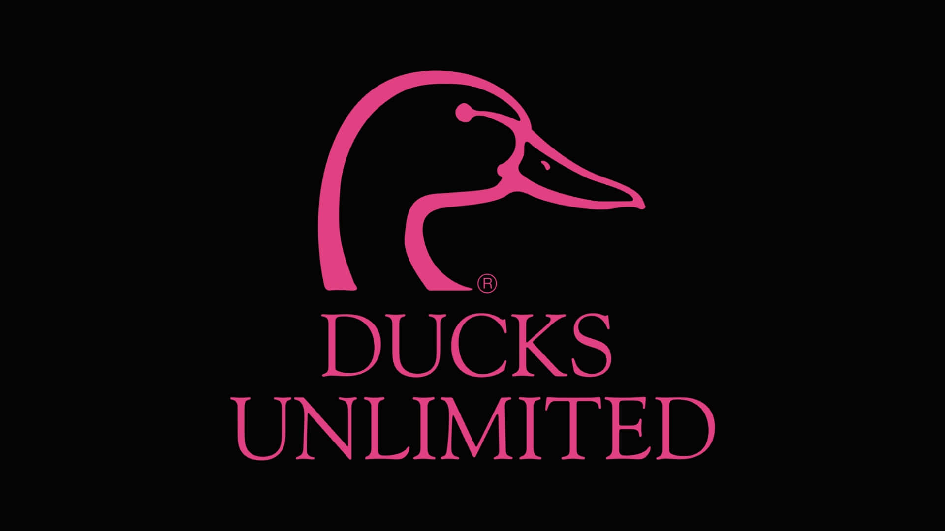 Ducks Unlimited, pink silhouette, duck head, Full HD Desktop Wallpaper