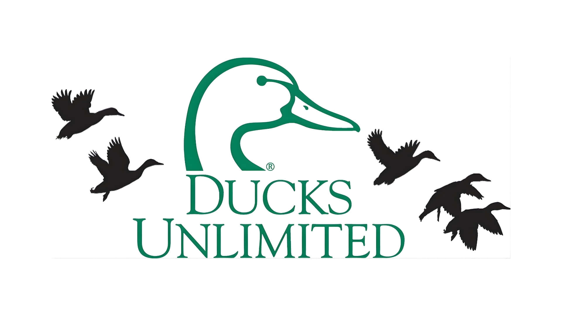 Ducks Unlimited, green logo, stylized duck head, Full HD Desktop Wallpaper