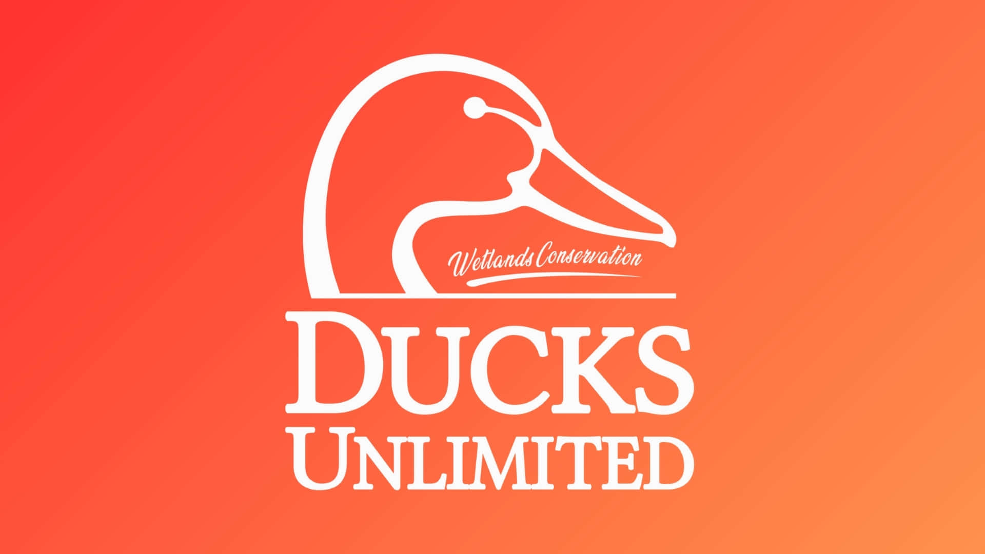 Ducks Unlimited, Wetlands Conservation, white stylized duck head logo, Full HD Desktop Wallpaper