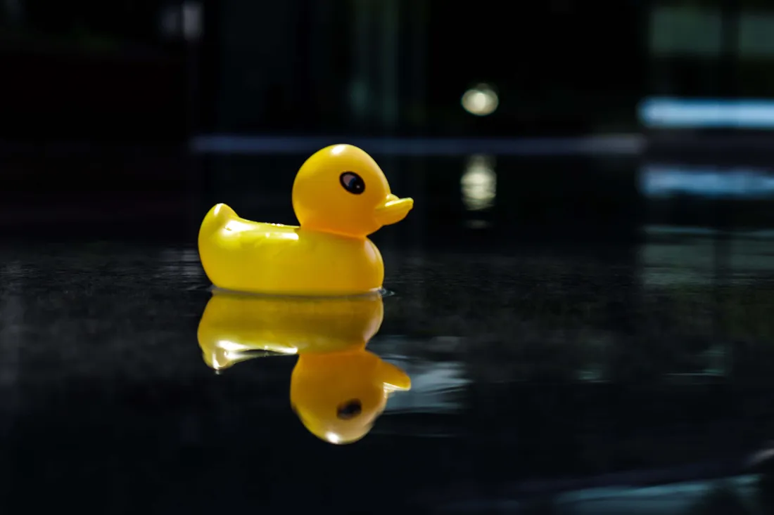Ducky