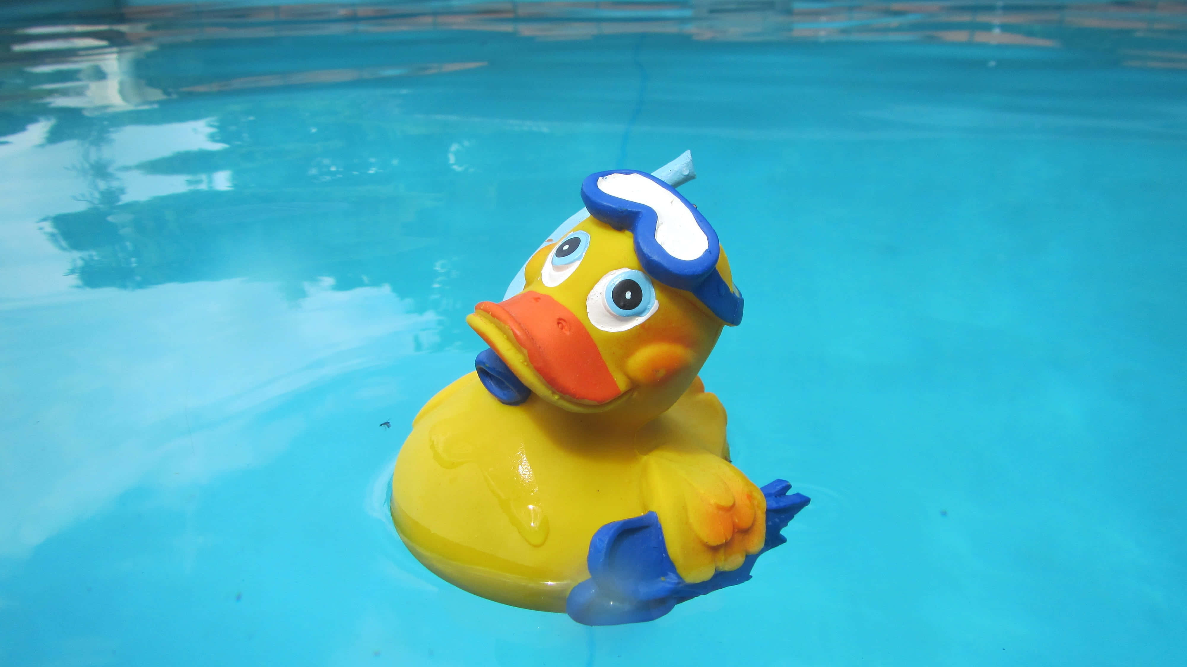 yellow rubber duck, blue swim goggles, flippers, 4K Desktop Wallpaper