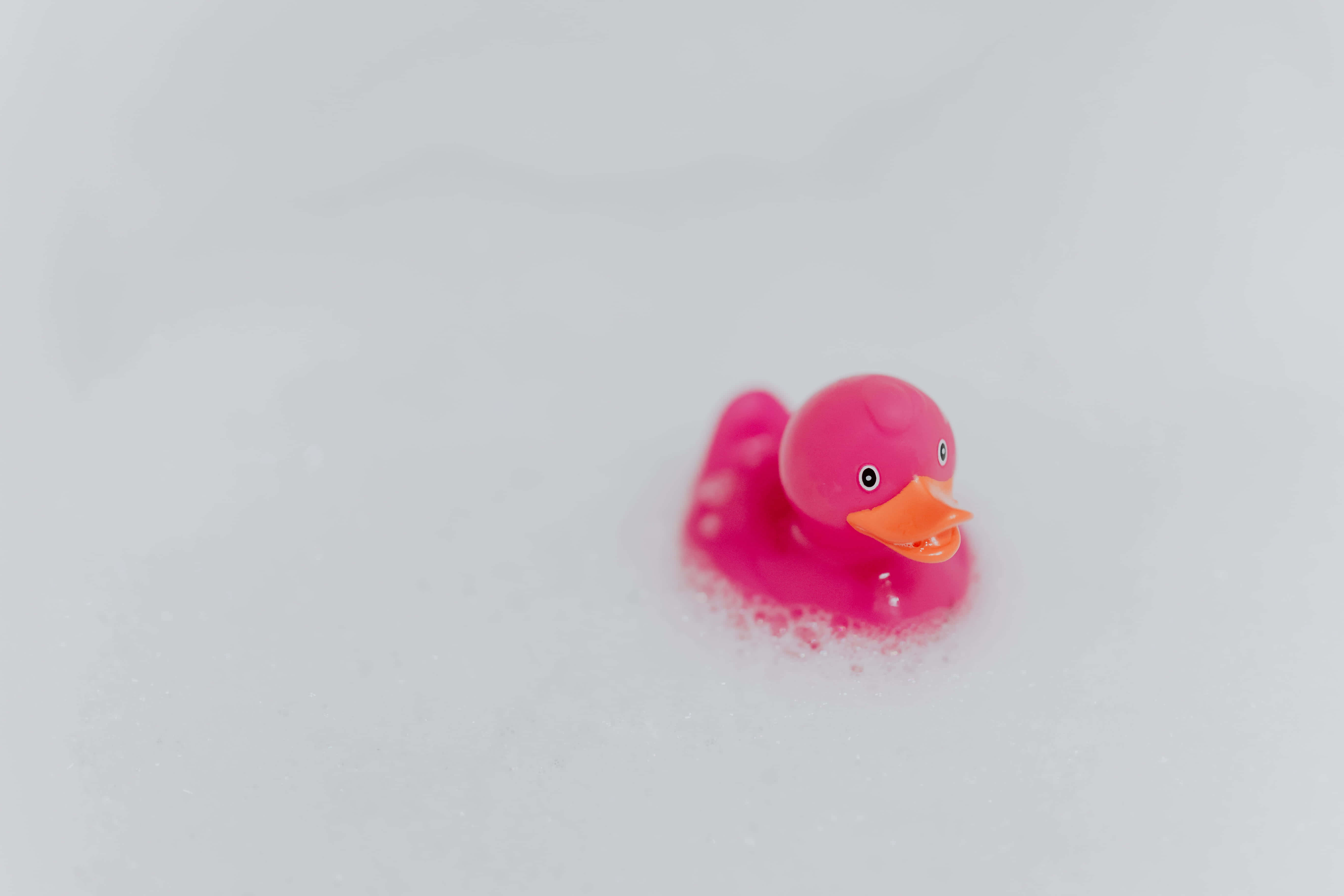 pink rubber ducky, bath, bathtub, 5K Desktop Wallpaper