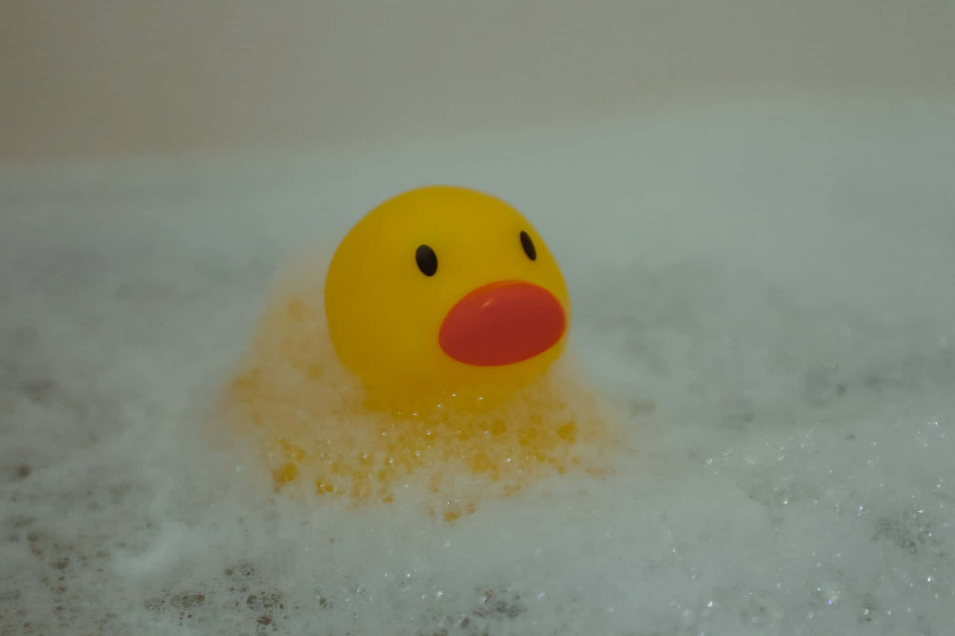 rubber duck, bright yellow, red beak, Full HD Desktop Wallpaper