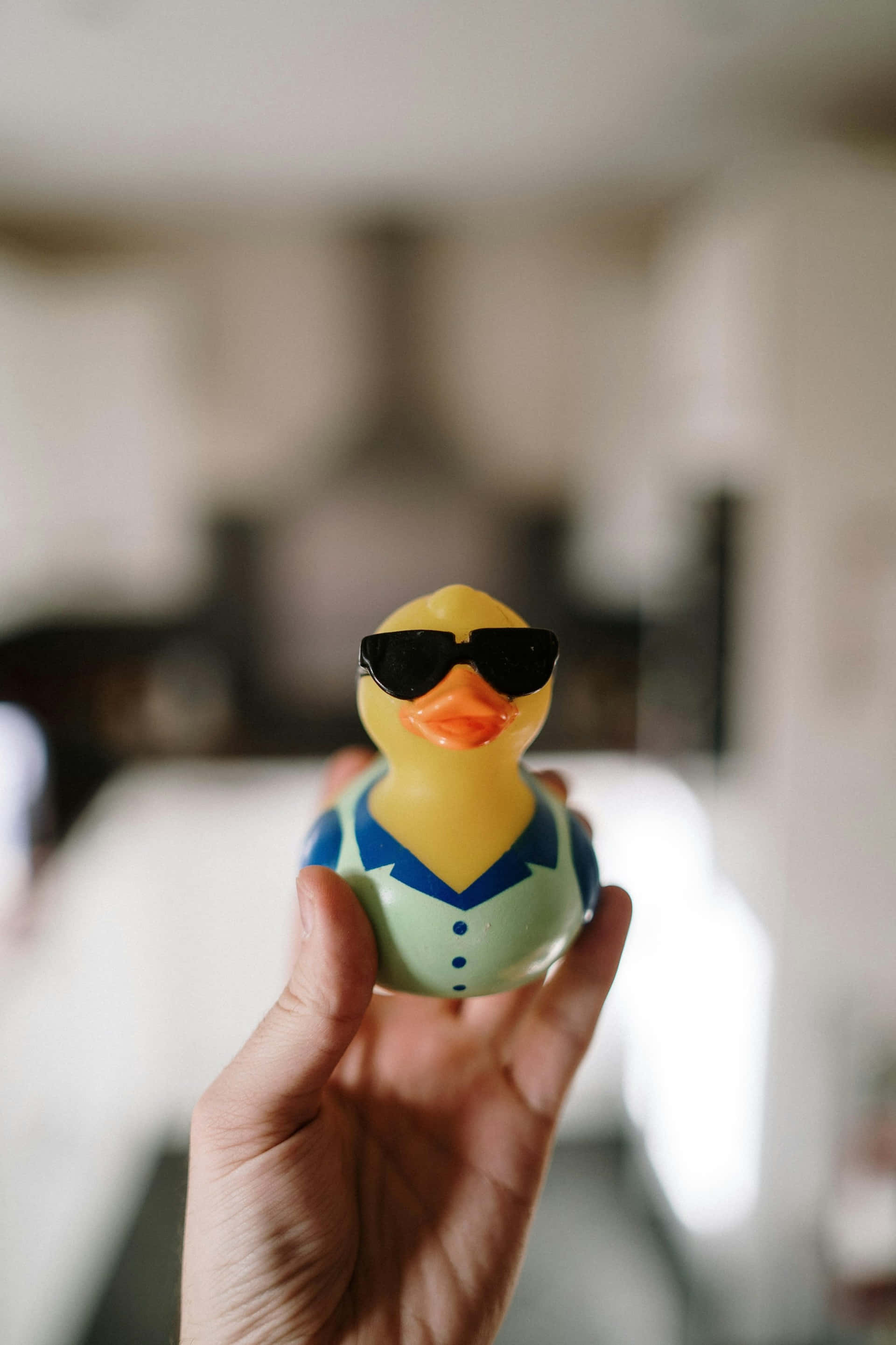 yellow rubber duck, black sunglasses, blue collared shirt, 2K Phone Wallpaper