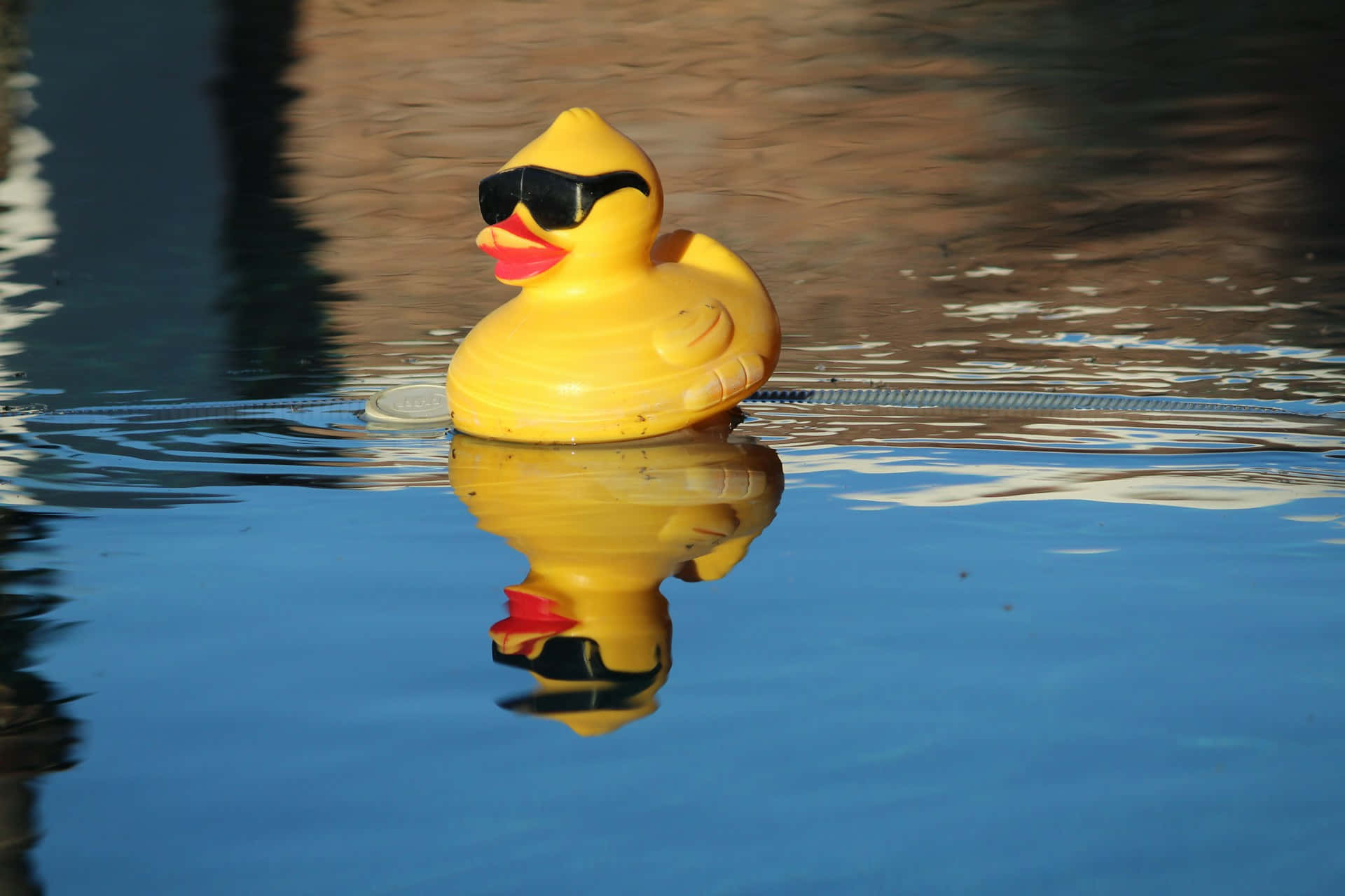 yellow rubber duck, black sunglasses, rippling blue water, Full HD Desktop Wallpaper