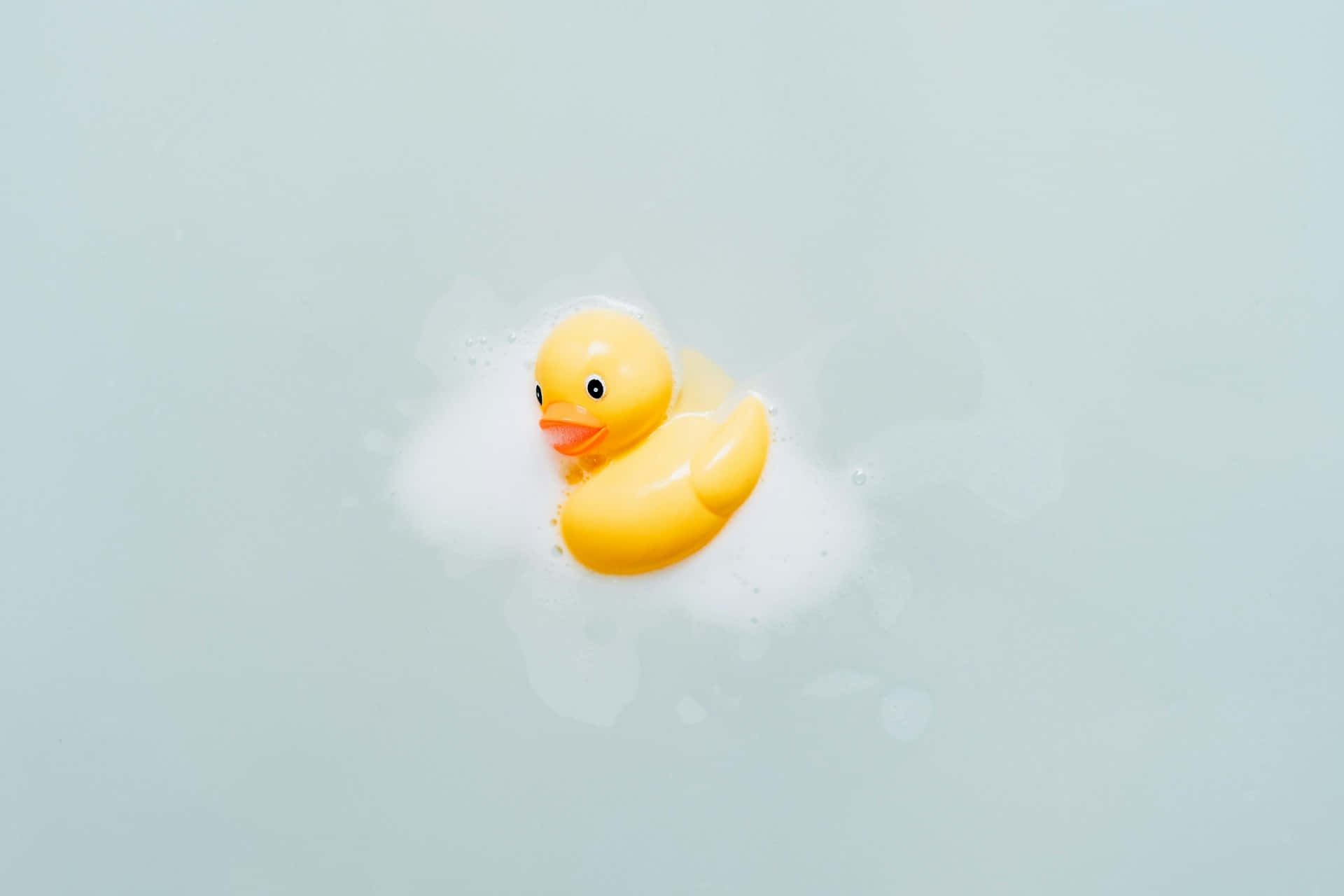 rubber duck, bright yellow, soapy, Full HD Desktop Wallpaper