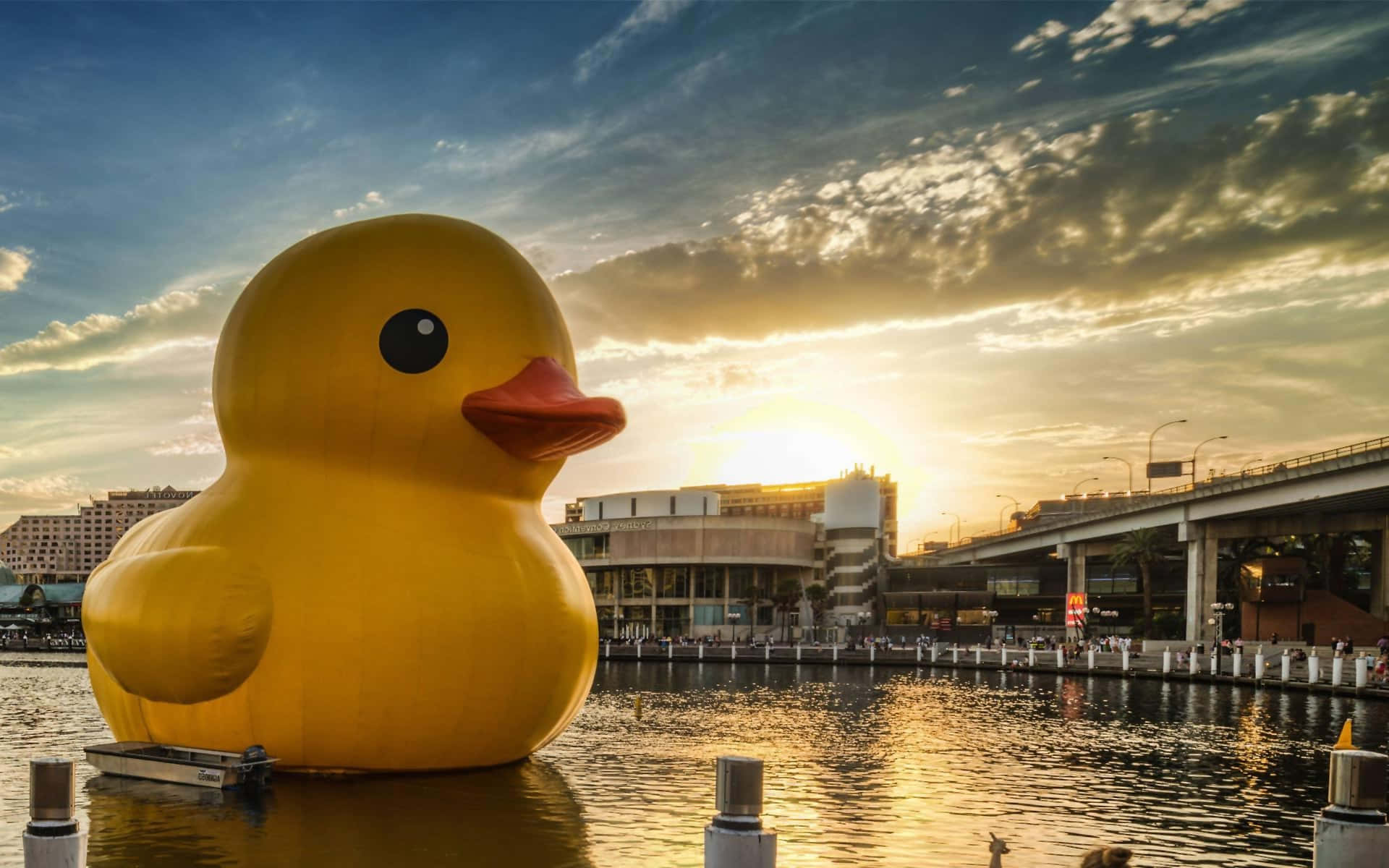 giant yellow rubber duck, golden sunset, urban skyline, Full HD Desktop Wallpaper
