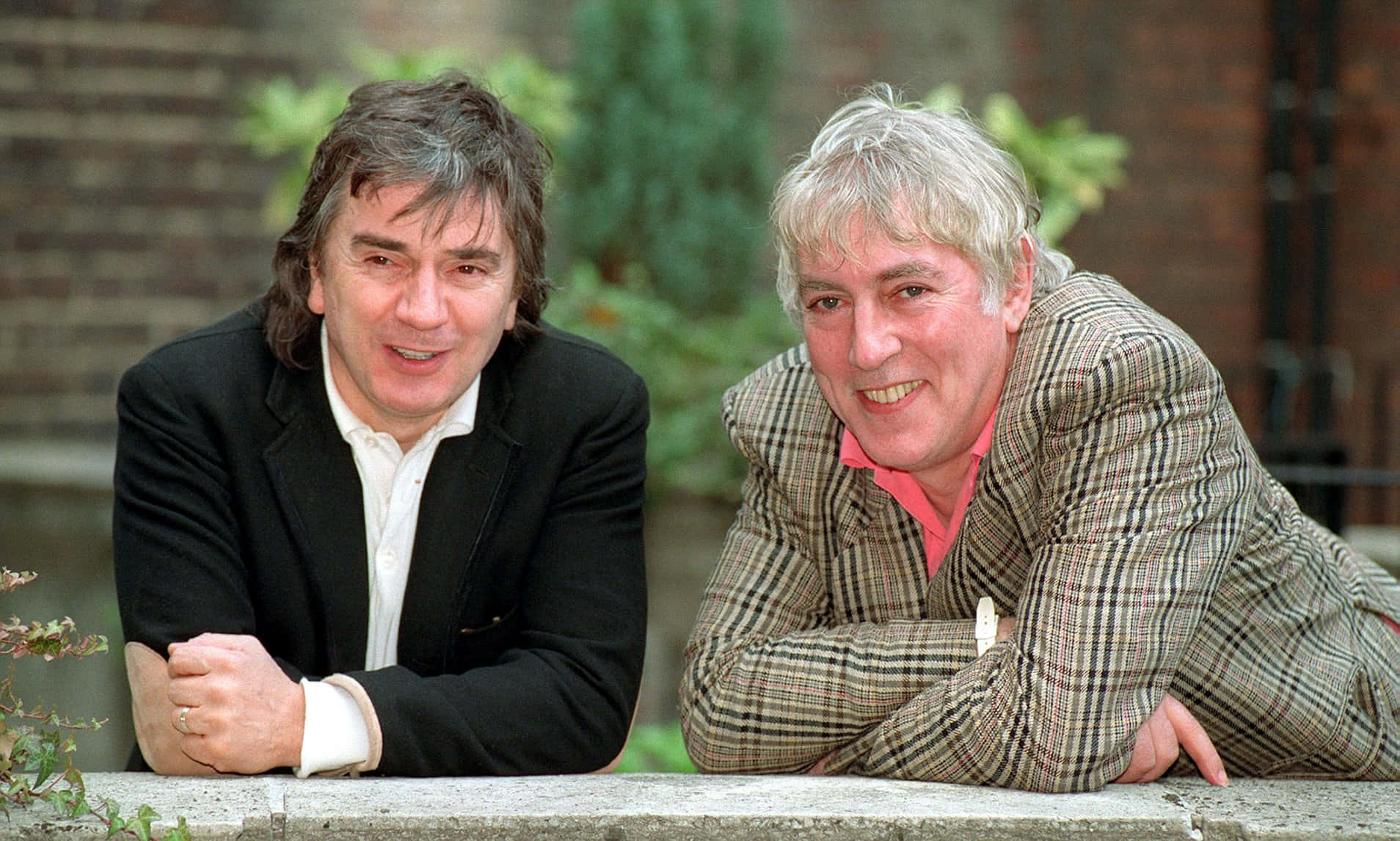 Dudley Moore, stone ledge, brick wall, HD Desktop Wallpaper