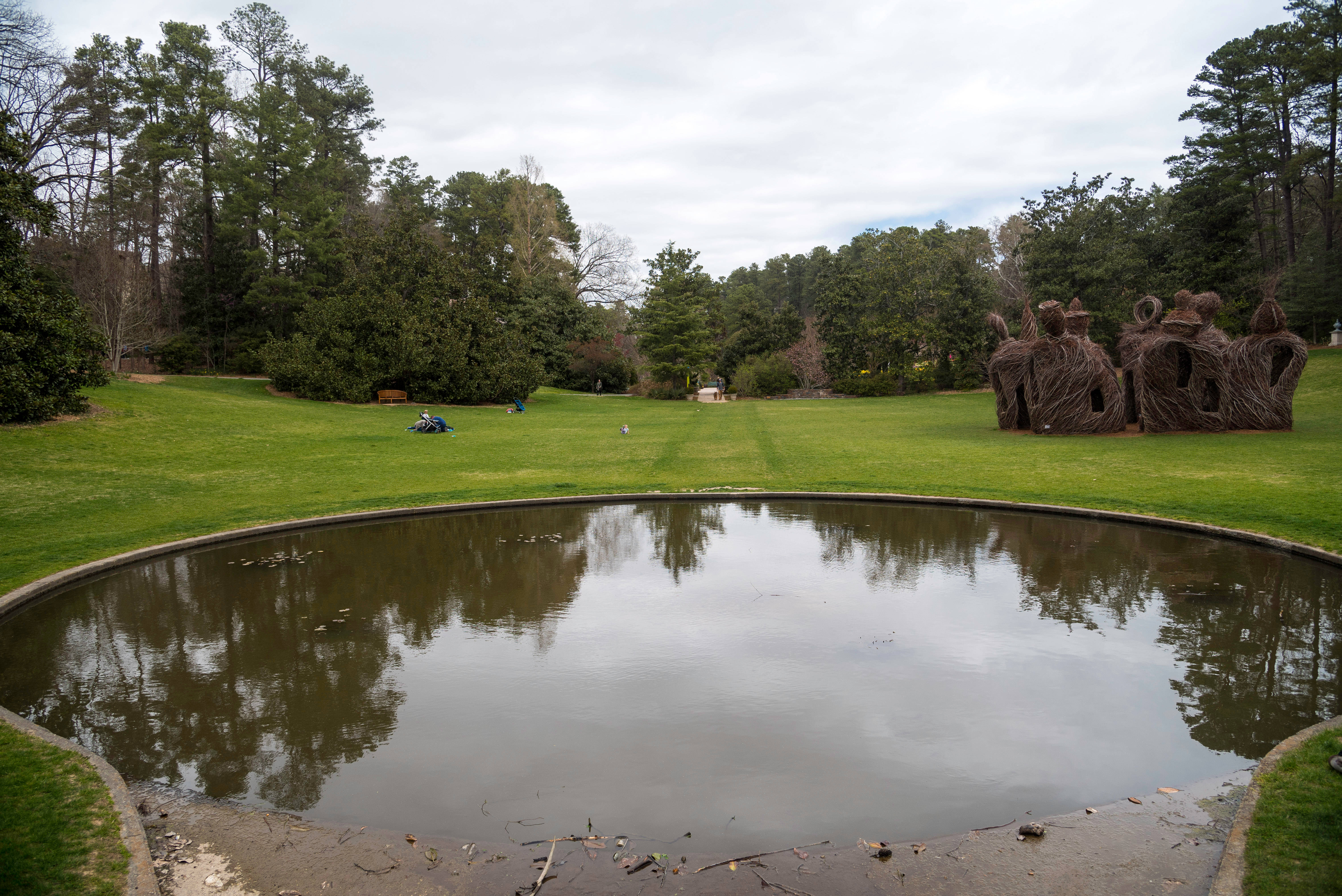Duke University, gardens pond, overcast skies, 5K Desktop Wallpaper