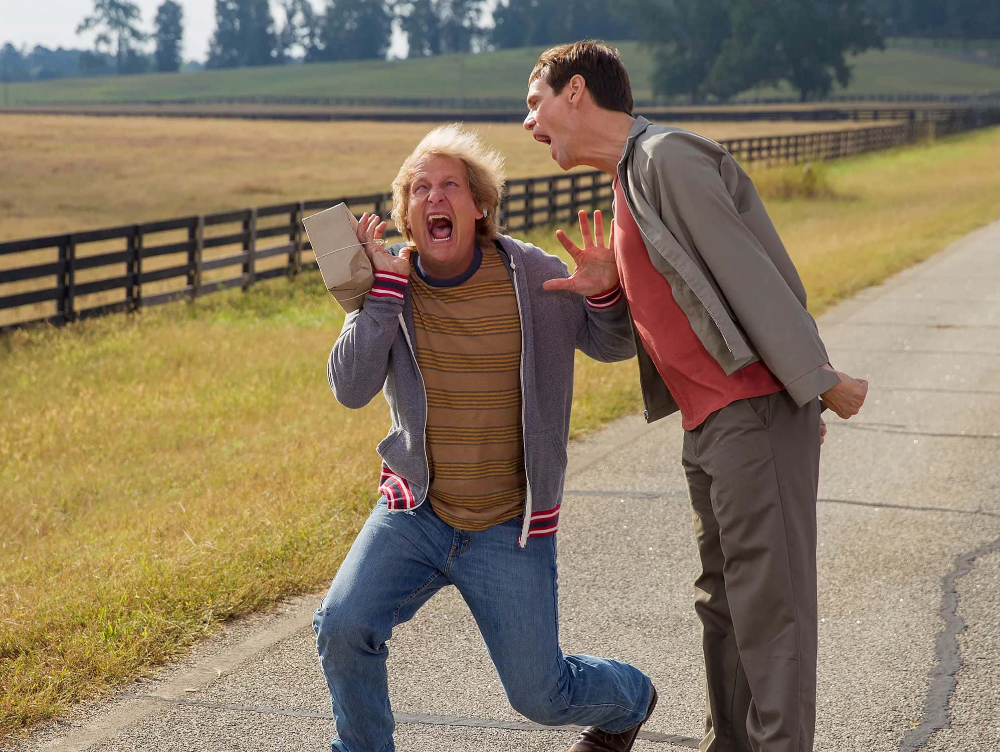 Dumb And Dumber, comedic scream, rural road, Full HD Desktop Wallpaper