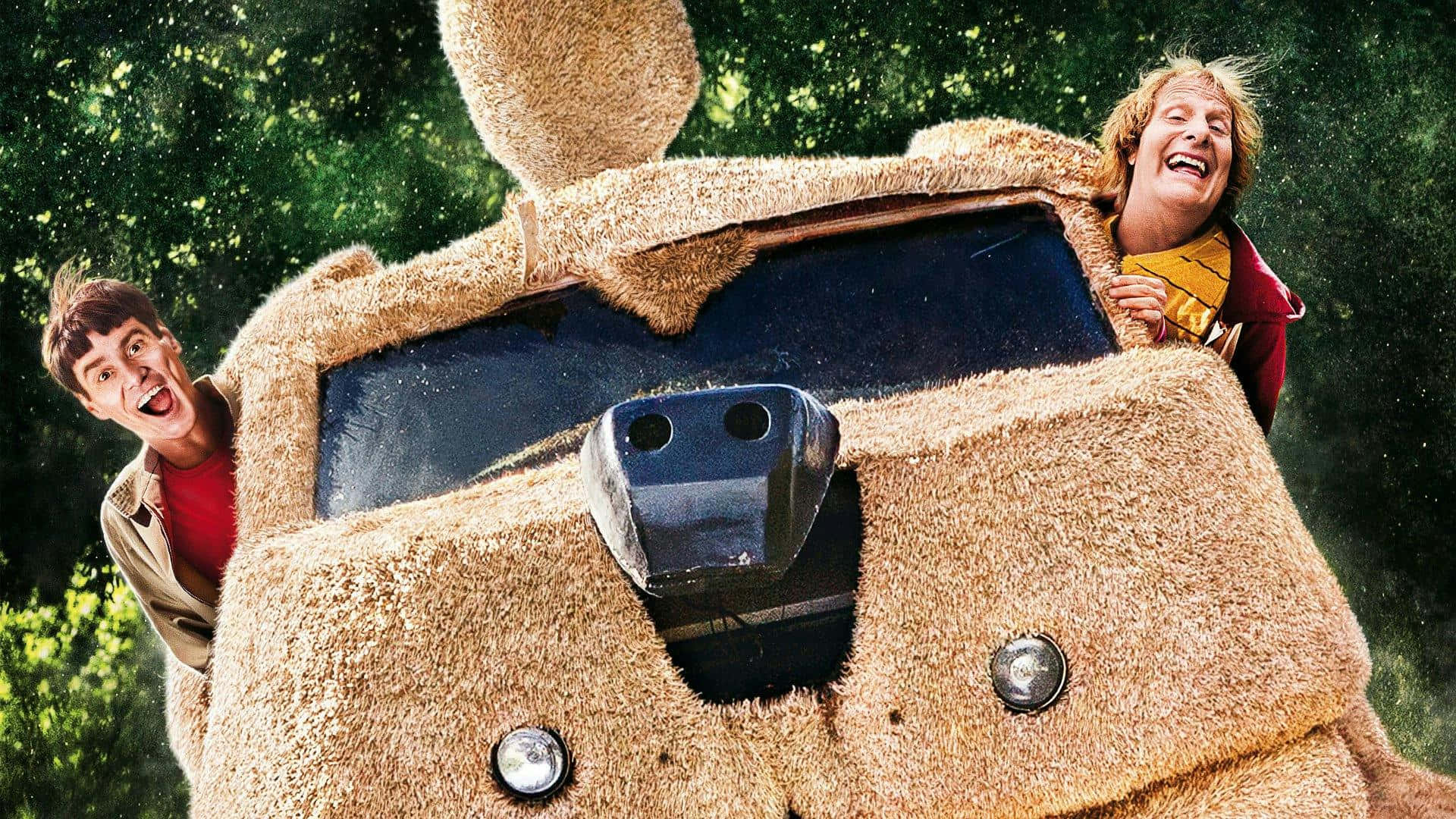 Dumb And Dumber, dog van scene, fuzzy brown teddy bear costume, Full HD Desktop Wallpaper