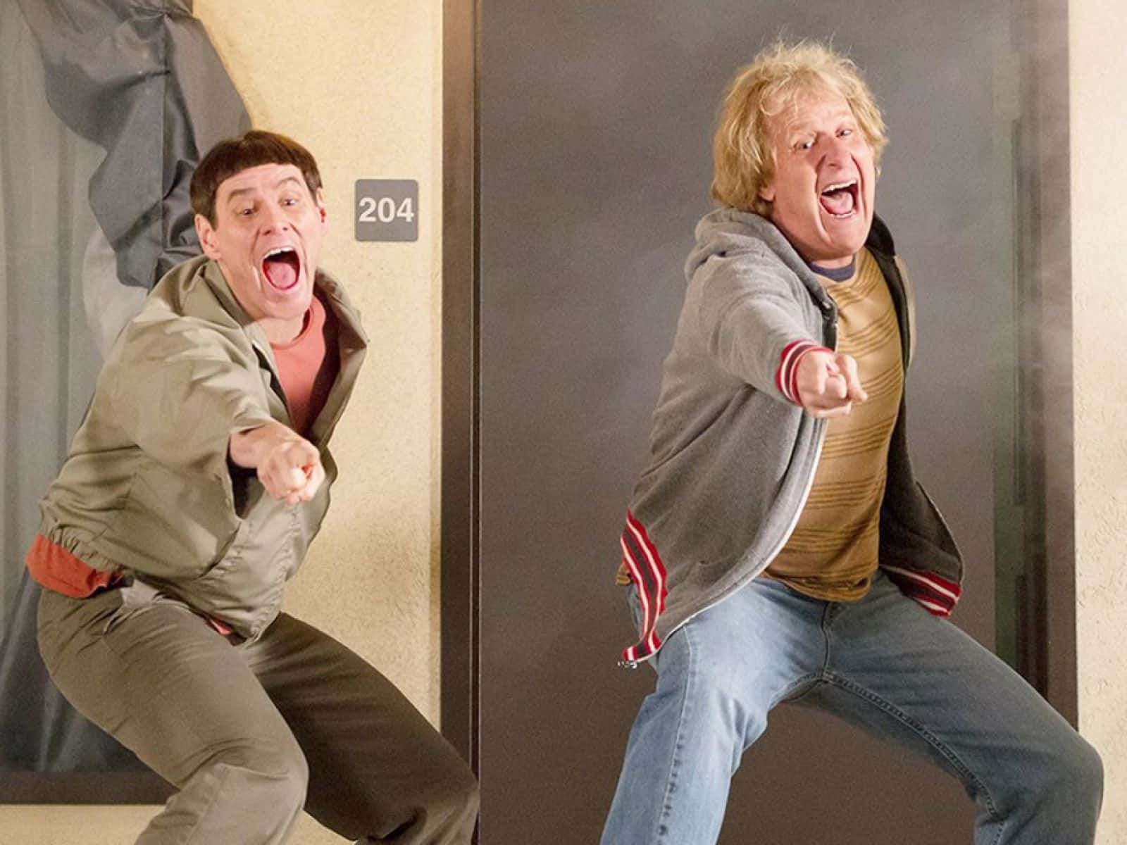 Dumb And Dumber, hallway, door 204, HD Desktop Wallpaper