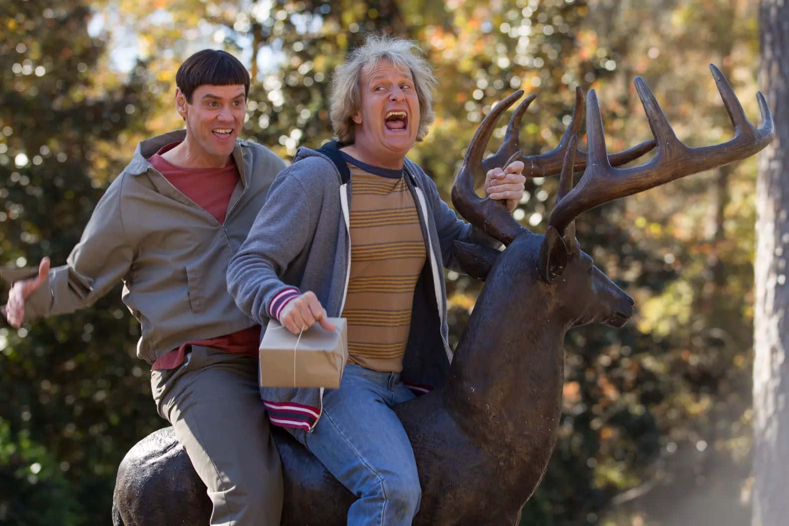 Dumb And Dumber, deer statue, sunlit autumn forest, HD Desktop Wallpaper