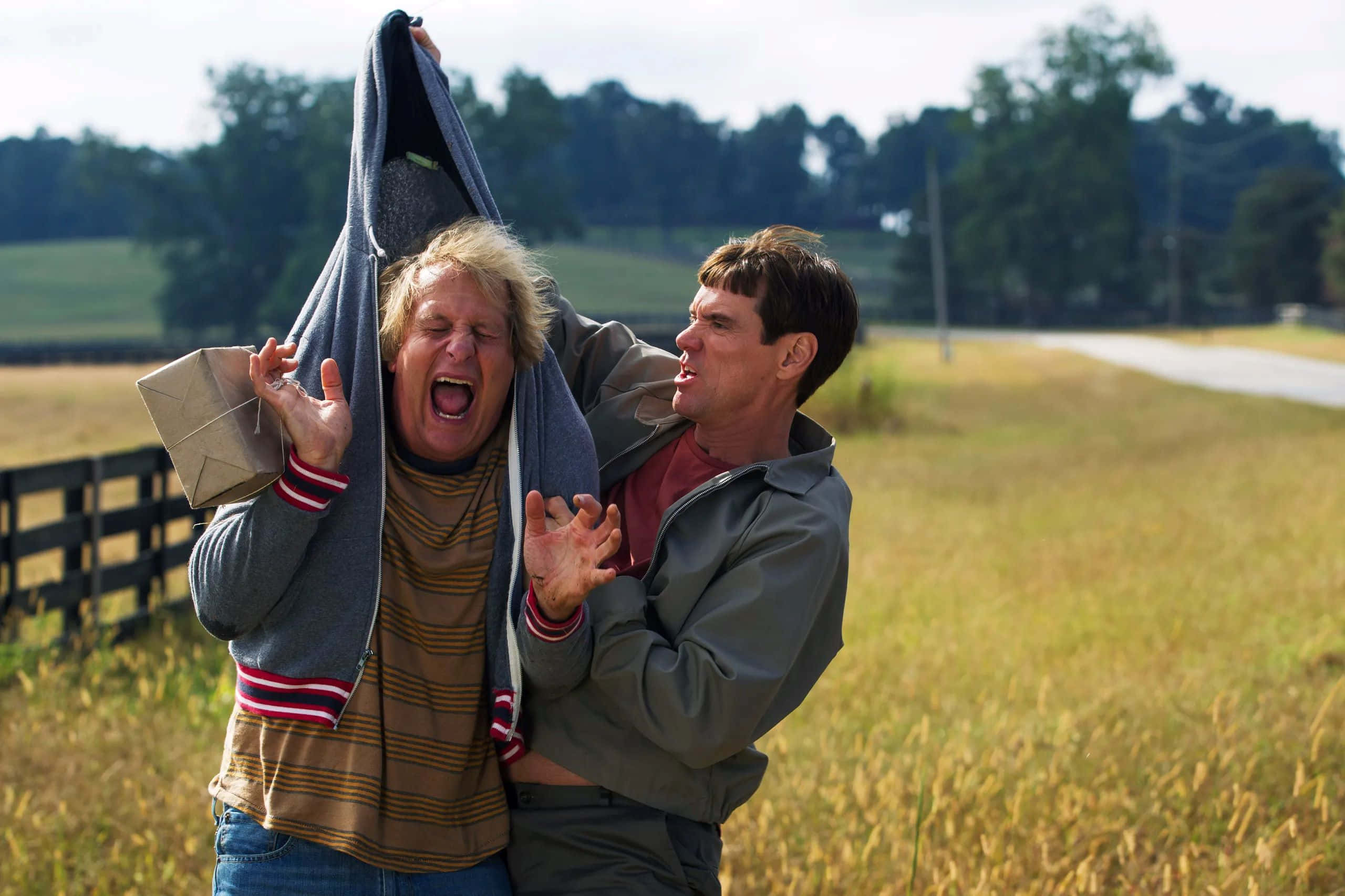 Dumb And Dumber, hoodie, sunlit field, 2K Desktop Wallpaper