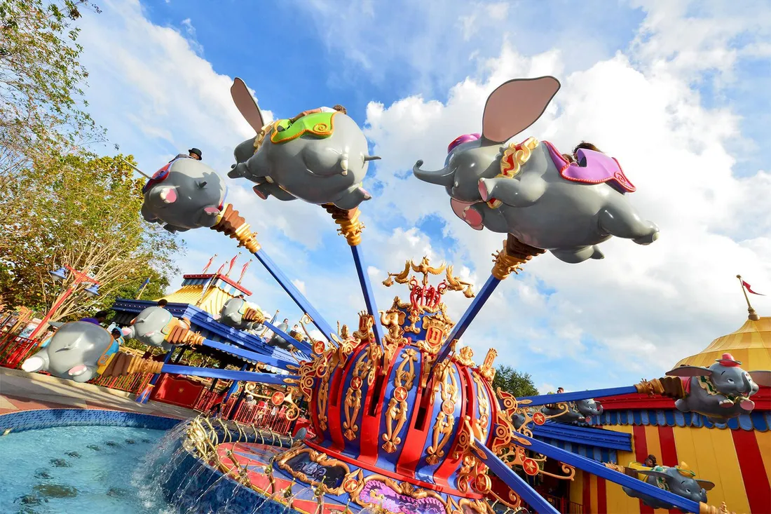 Dumbo