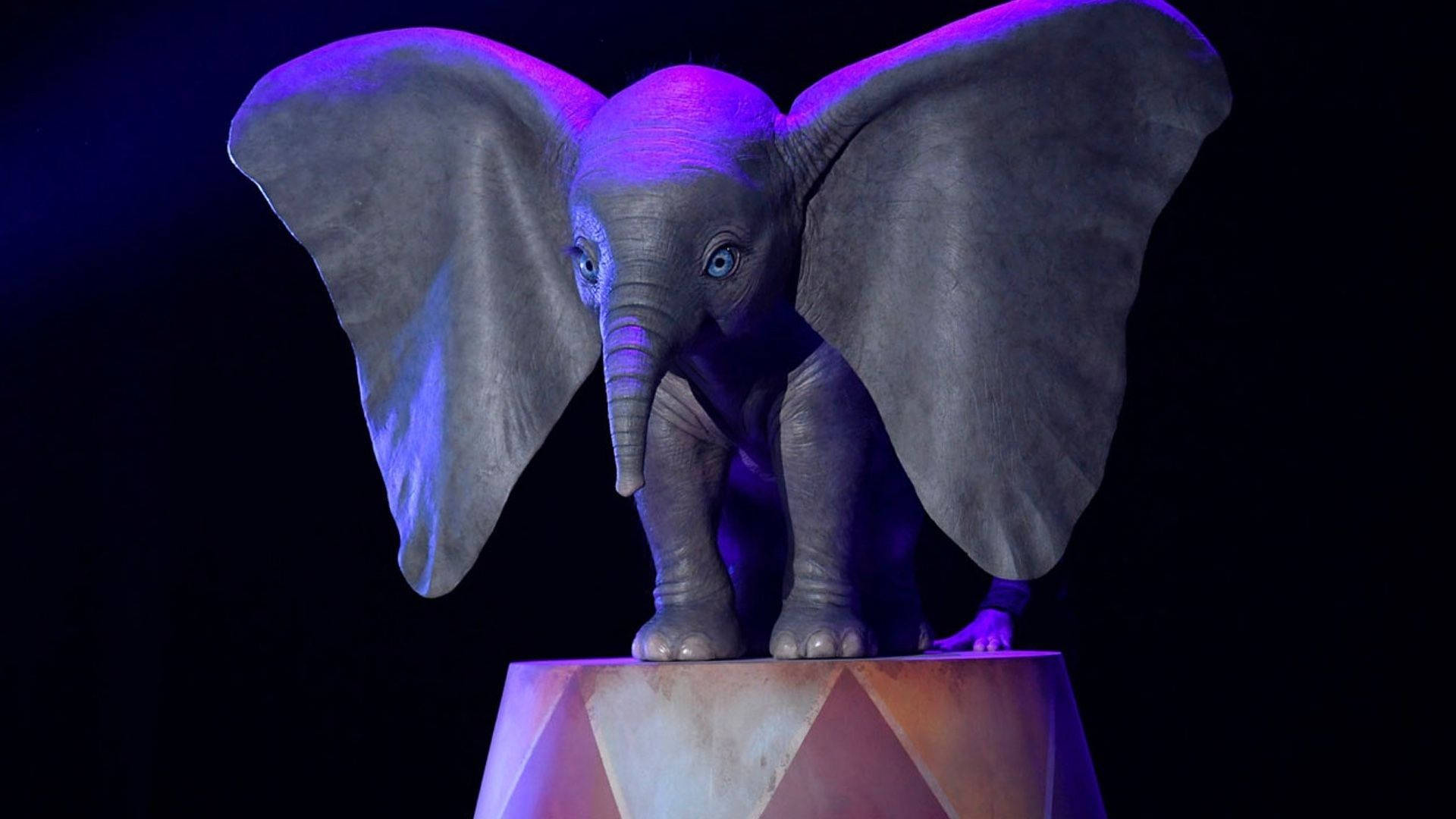 Dumbo, baby elephant, wide ears, Full HD Desktop Wallpaper