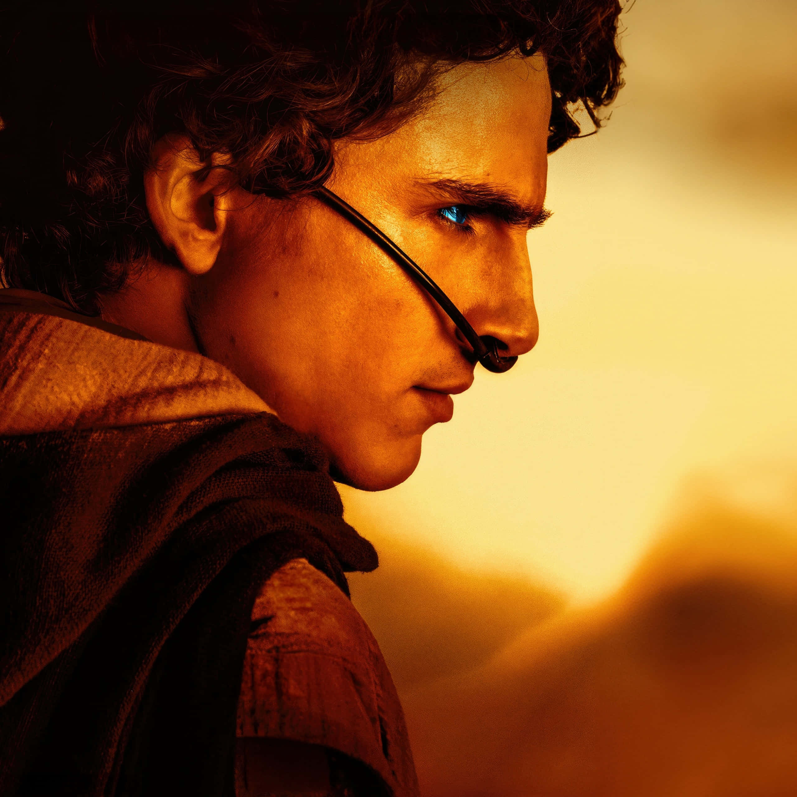 Dune 2, intense gaze, dune desert backdrop, 2K Desktop Wallpaper
