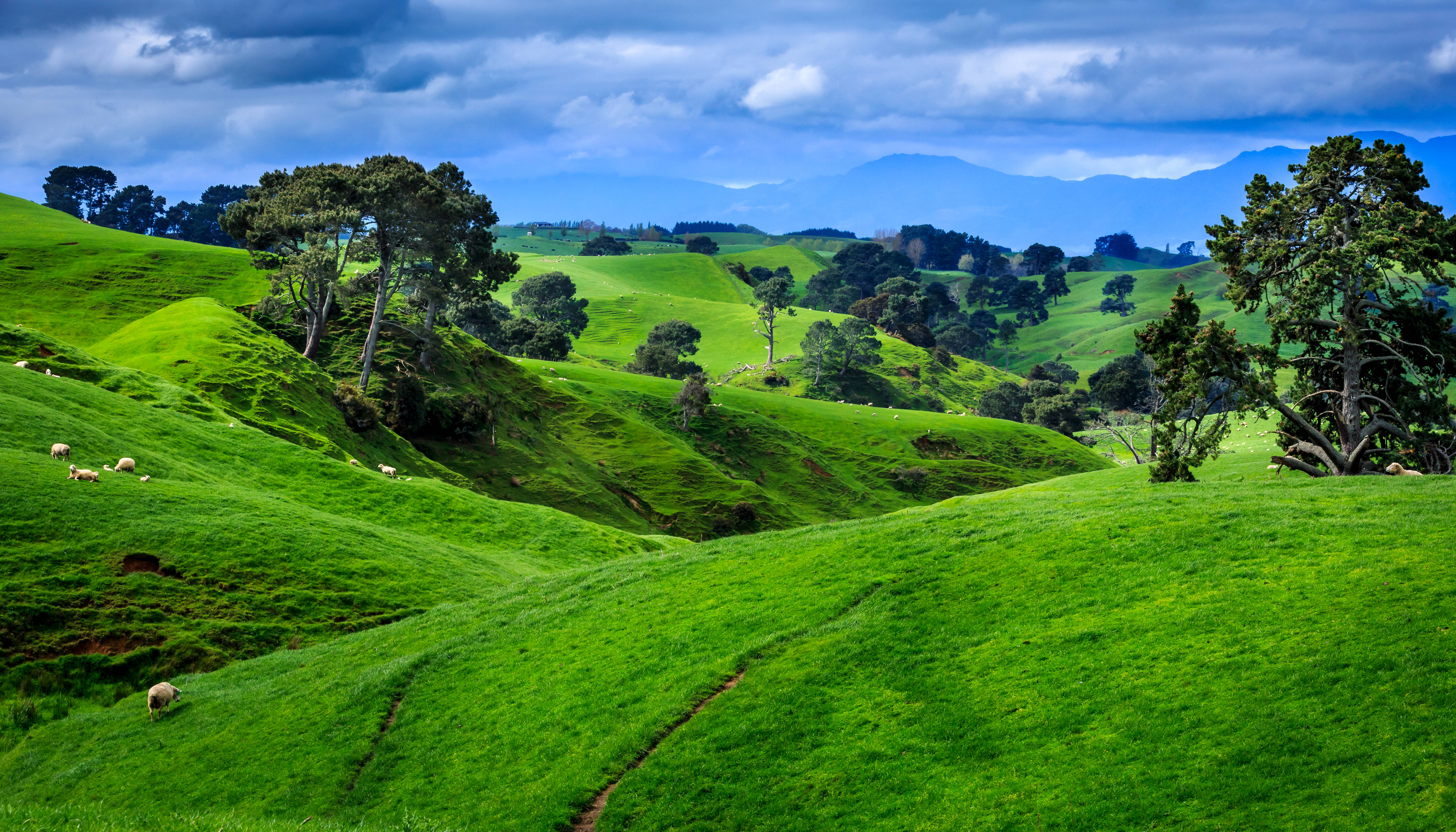 New Zealand, green hills, cloudy sky, 5K Desktop Wallpaper