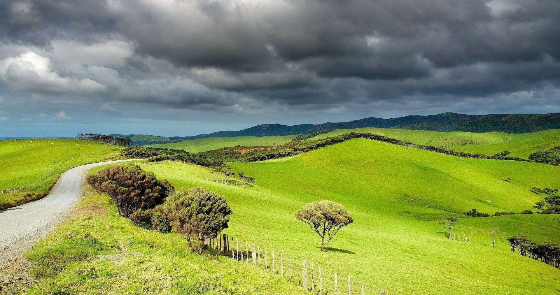 New Zealand, gravel road, vibrant green rolling hills, Full HD Desktop Wallpaper