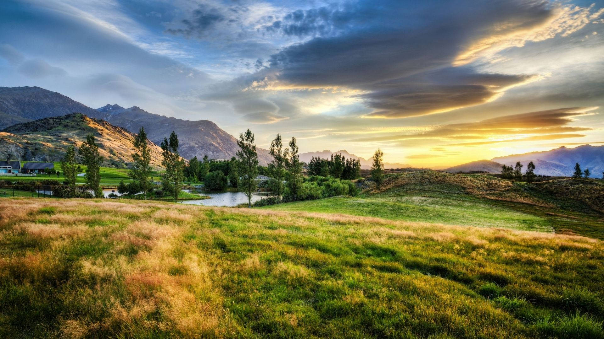 New Zealand Landscape, golden sunset, grassy field, Full HD Desktop Wallpaper