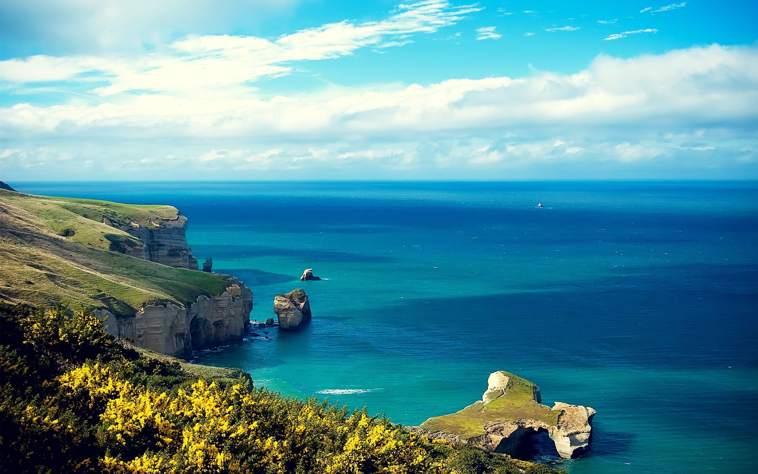 New Zealand, coastal cliff, turquoise ocean, 2K Desktop Wallpaper