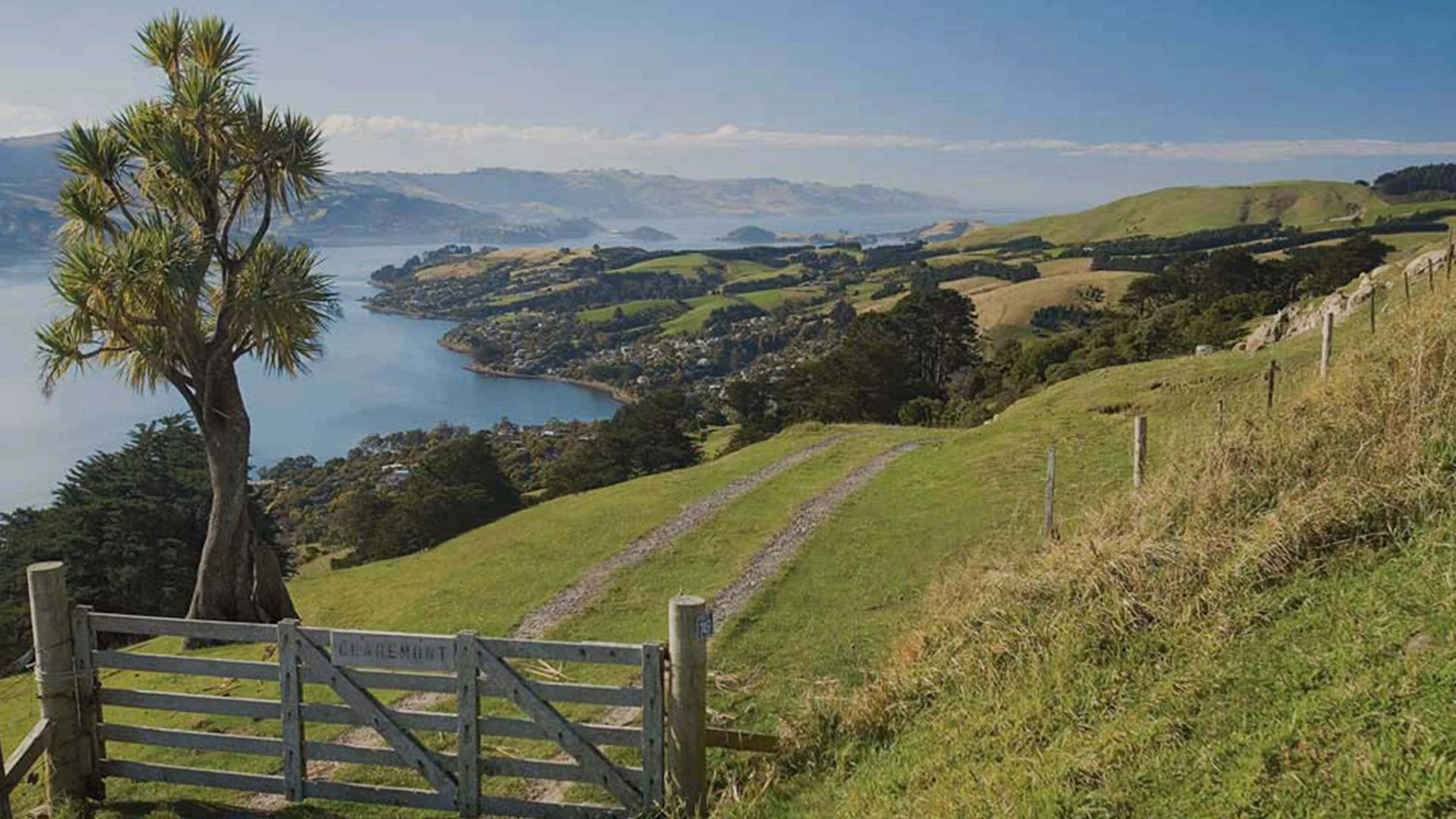 Dunedin New Zealand, wooden gate, grassy hillside, 4K Desktop Wallpaper