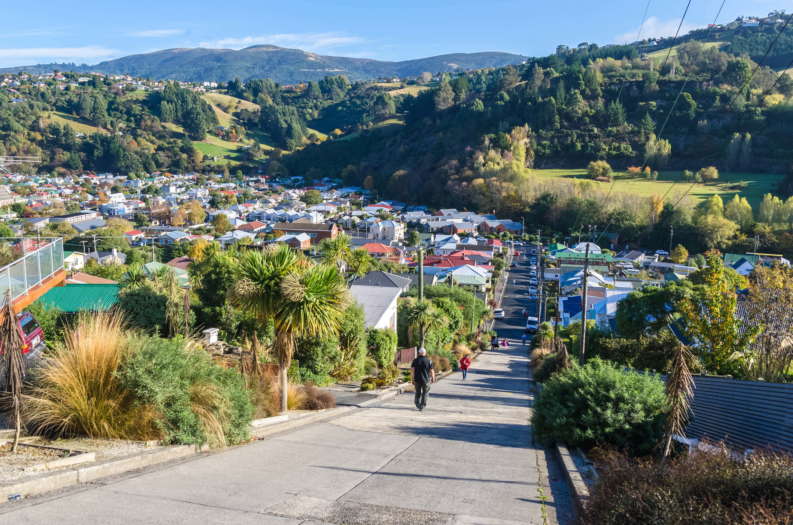 Dunedin New Zealand, steep street view, colorful suburban neighborhood, 2K Desktop Wallpaper
