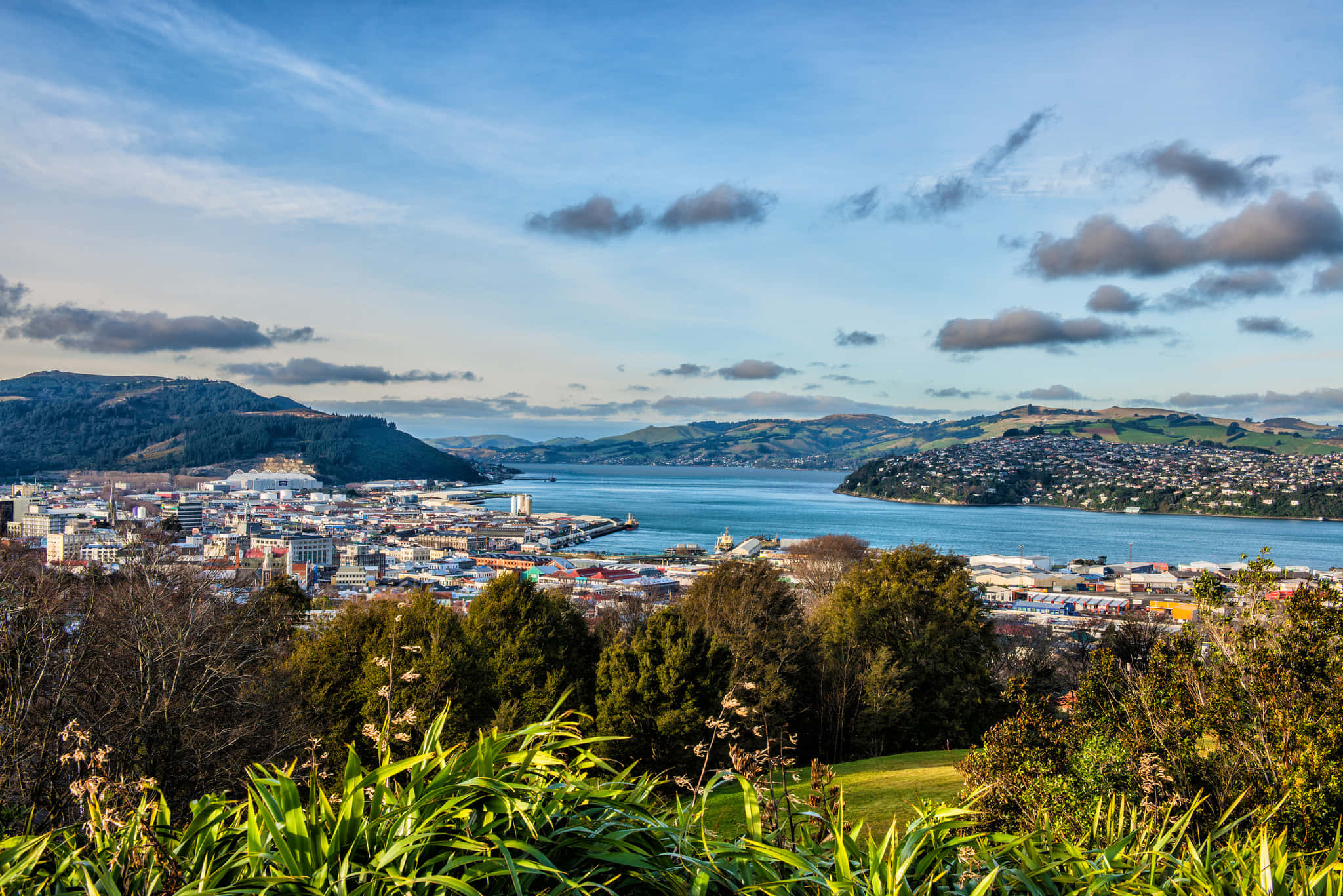 Dunedin, cityscape, harbor view, Full HD Desktop Wallpaper