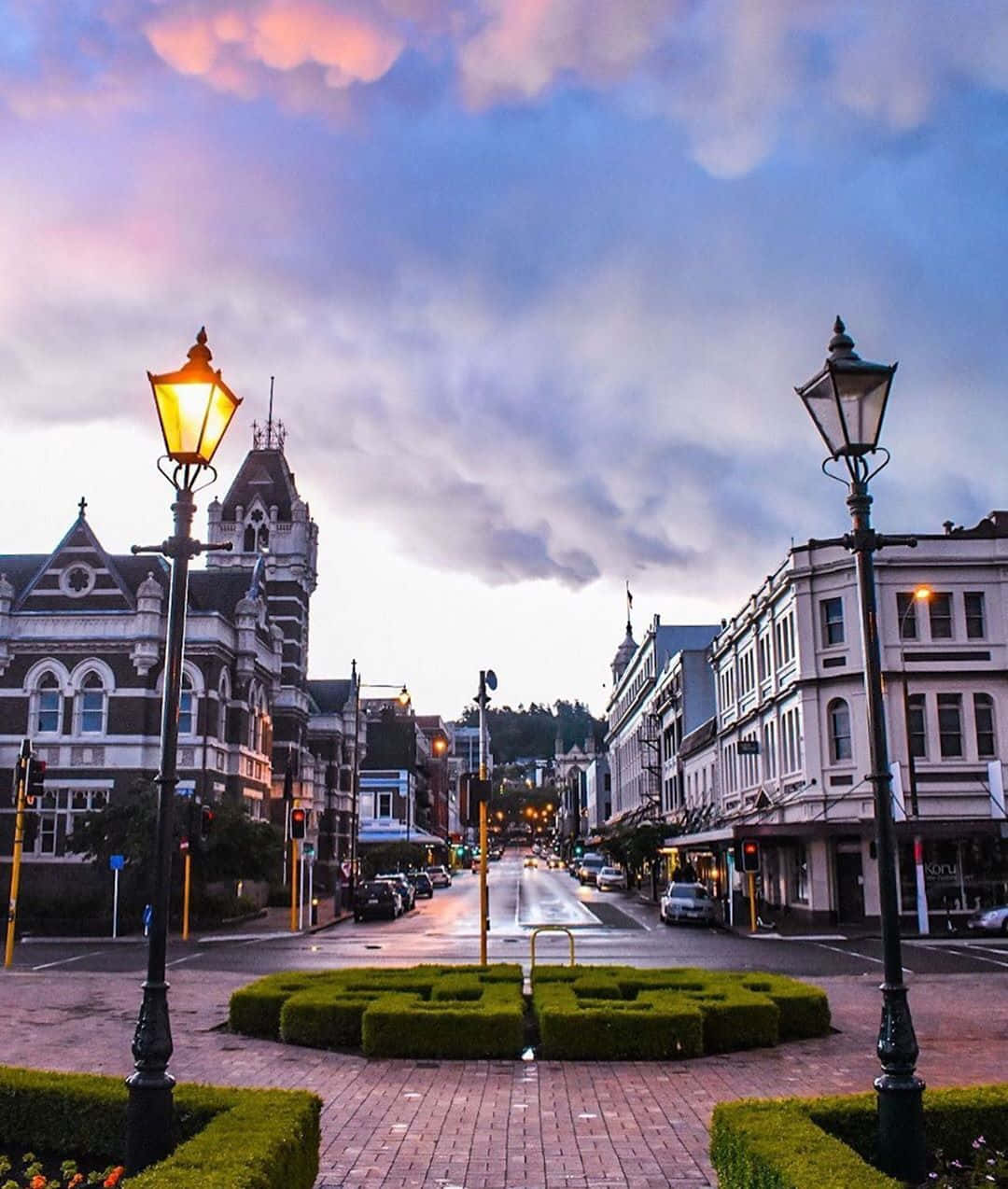 Dunedin, cityscape, dusk, SD Phone Wallpaper