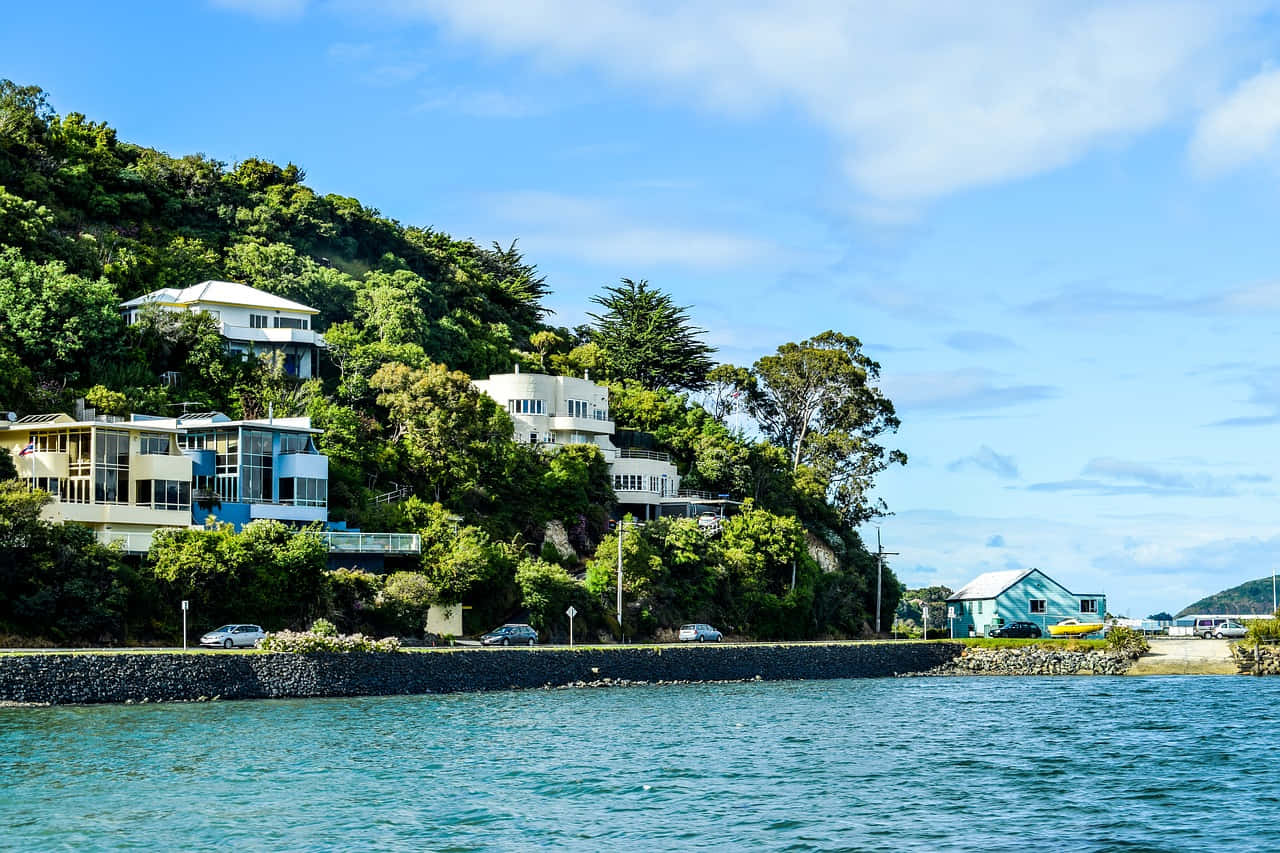 Dunedin, New Zealand, coastal homes, HD Desktop Wallpaper