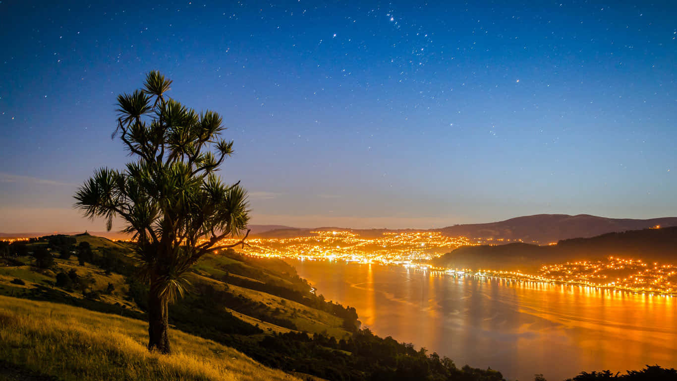 Dunedin, New Zealand, night skyline, HD Desktop Wallpaper