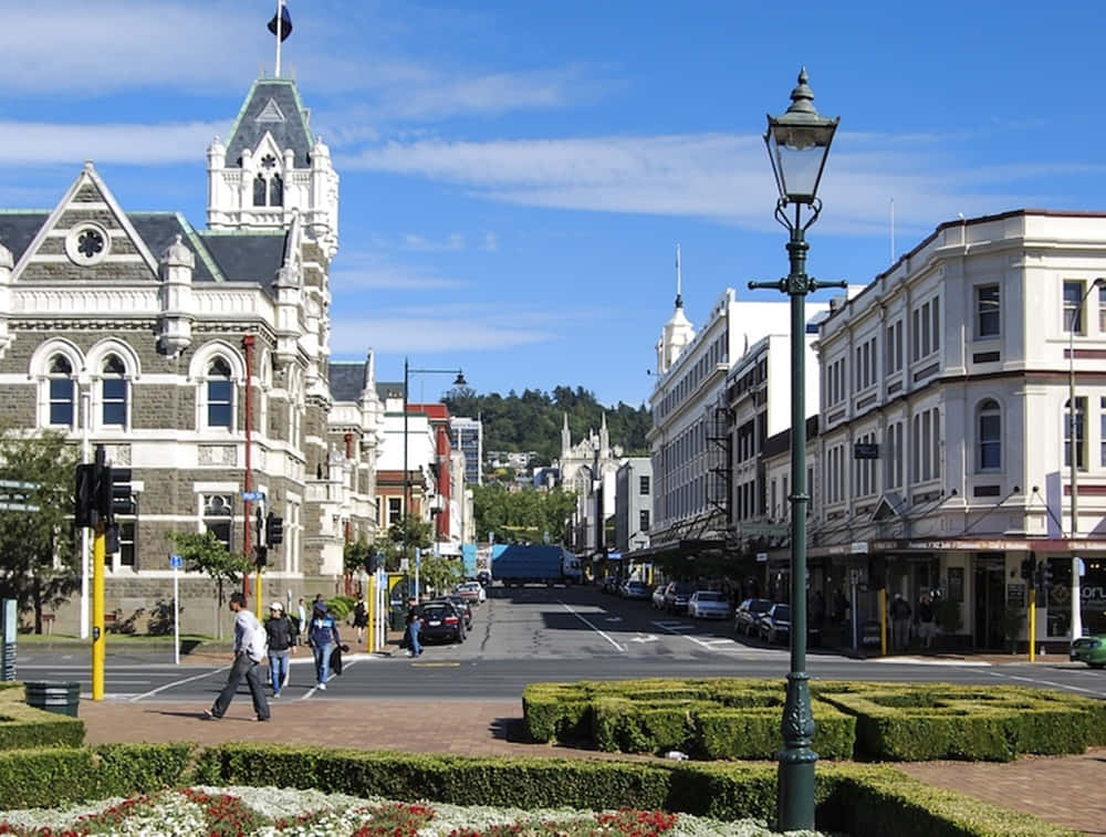 Dunedin, New Zealand, cityscape, SD Desktop Wallpaper