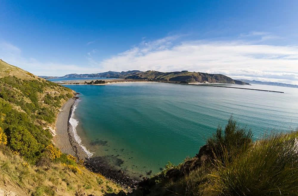 Dunedin, coastline, New Zealand, SD Desktop Wallpaper