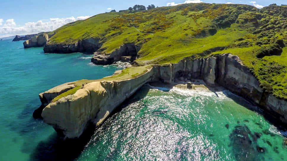 Dunedin, coastline, aerial view, SD Desktop Wallpaper
