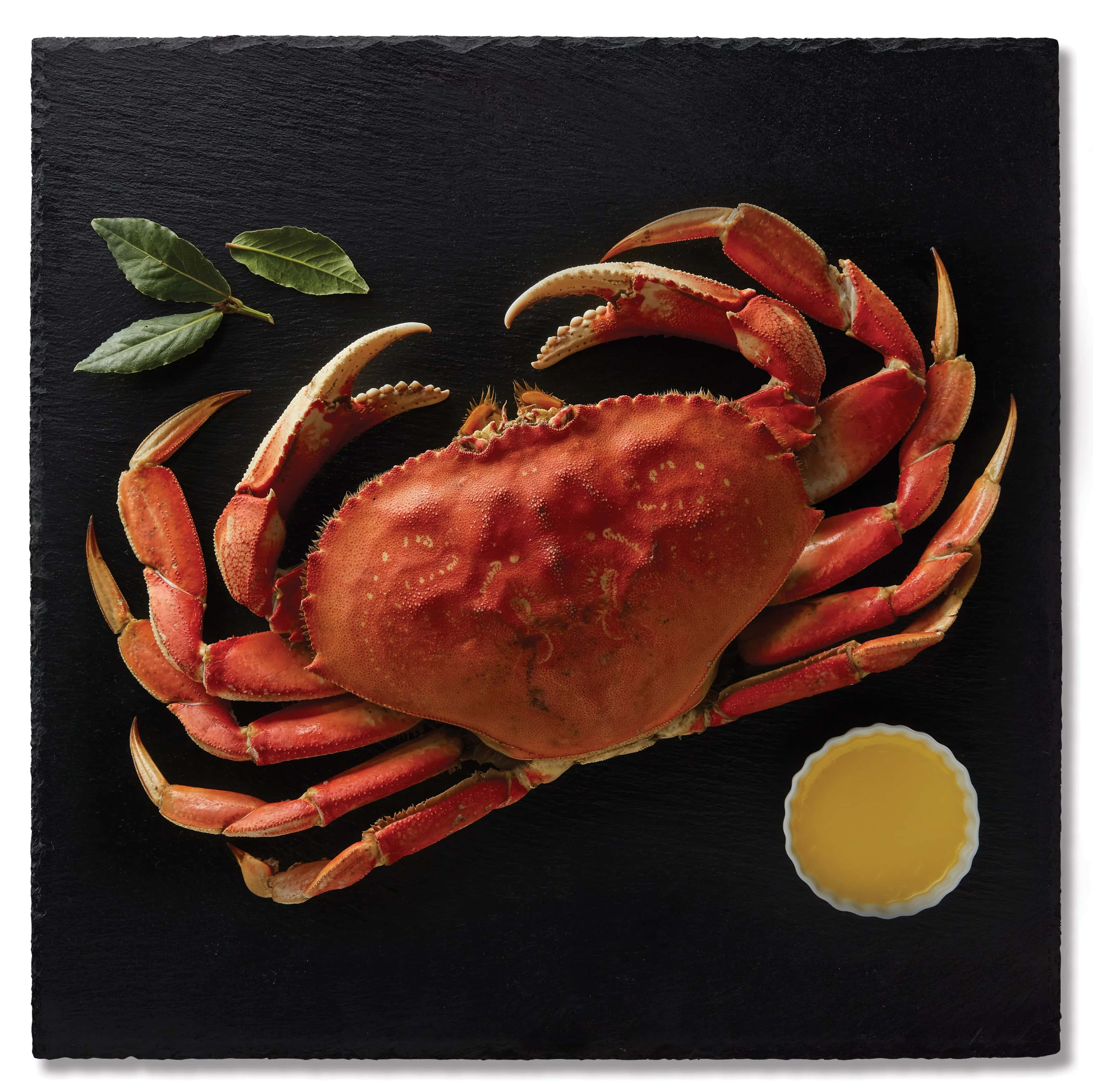 Dungeness Crab, slate, red crab, 2K Desktop Wallpaper
