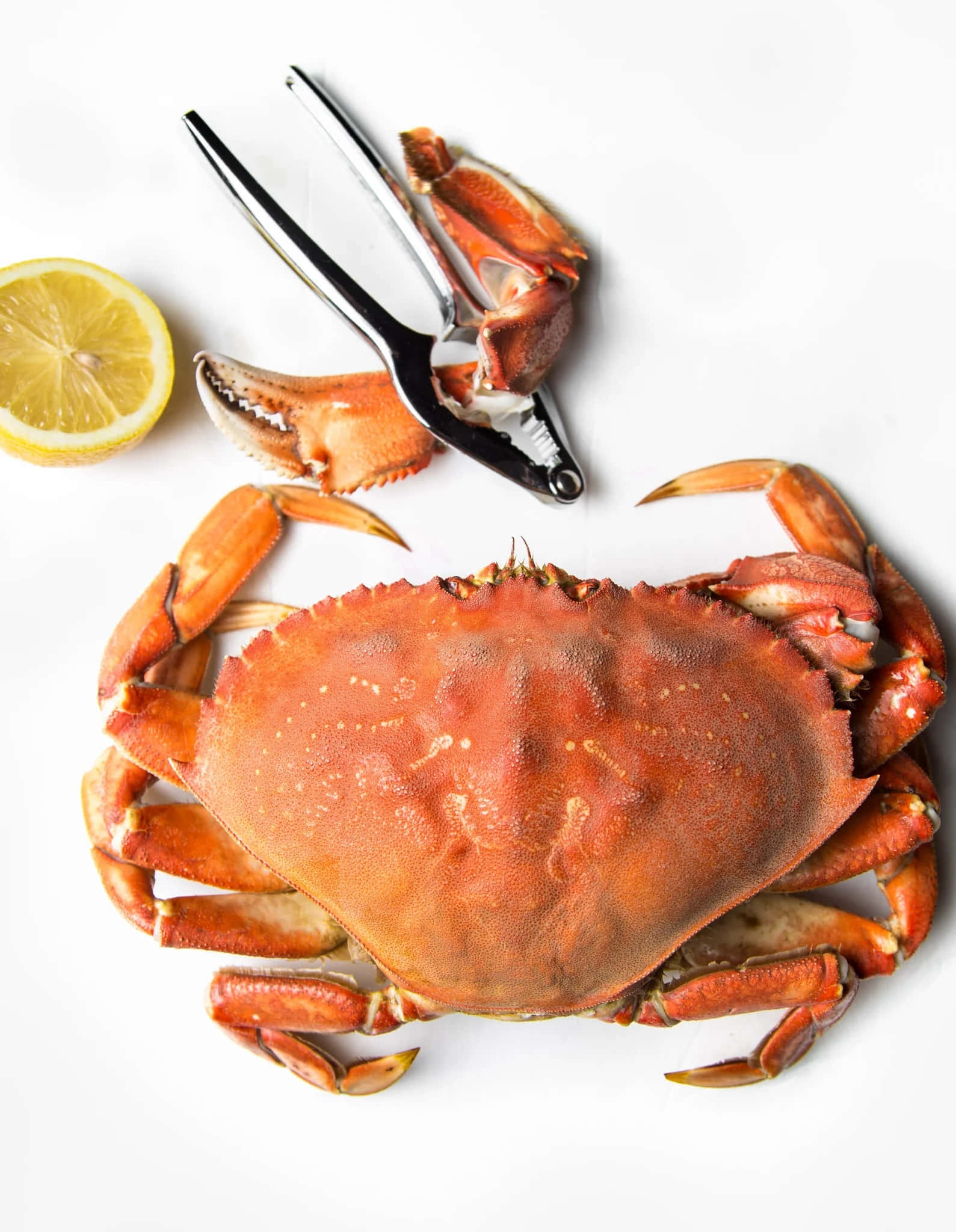 Dungeness Crab, metal crab cracker, lemon wedge, Full HD Phone Wallpaper