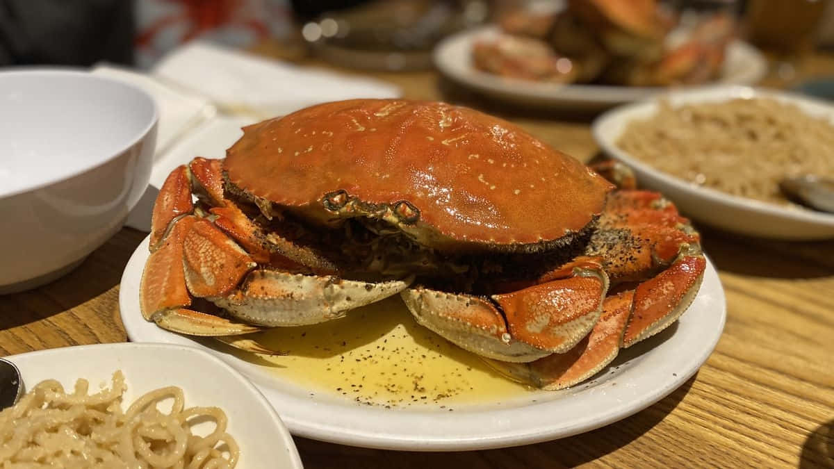 Cooked Dungeness Crab, golden shell, black pepper, SD Desktop Wallpaper