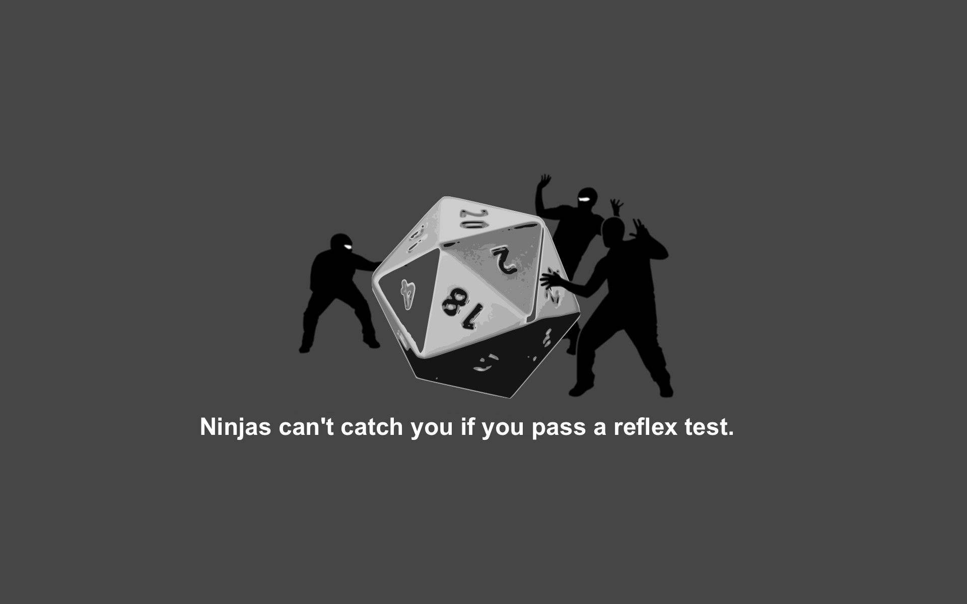 ninjas, Dungeons and Dragons, twenty-sided die, Full HD Desktop Wallpaper