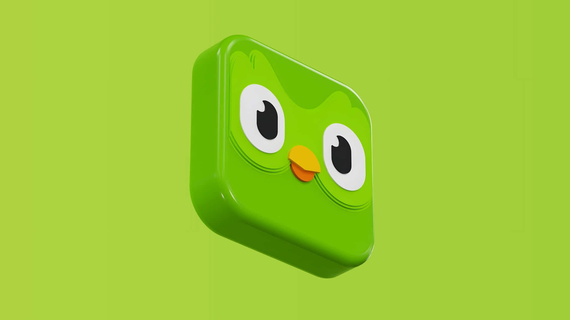 Duolingo, green owl mascot, glossy green square icon, Full HD Desktop Wallpaper