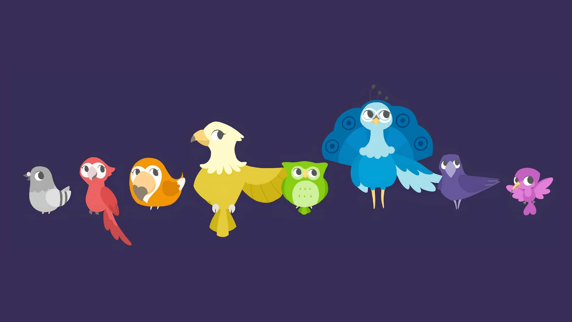Duolingo, language mascots, cartoon birds, Full HD Desktop Wallpaper