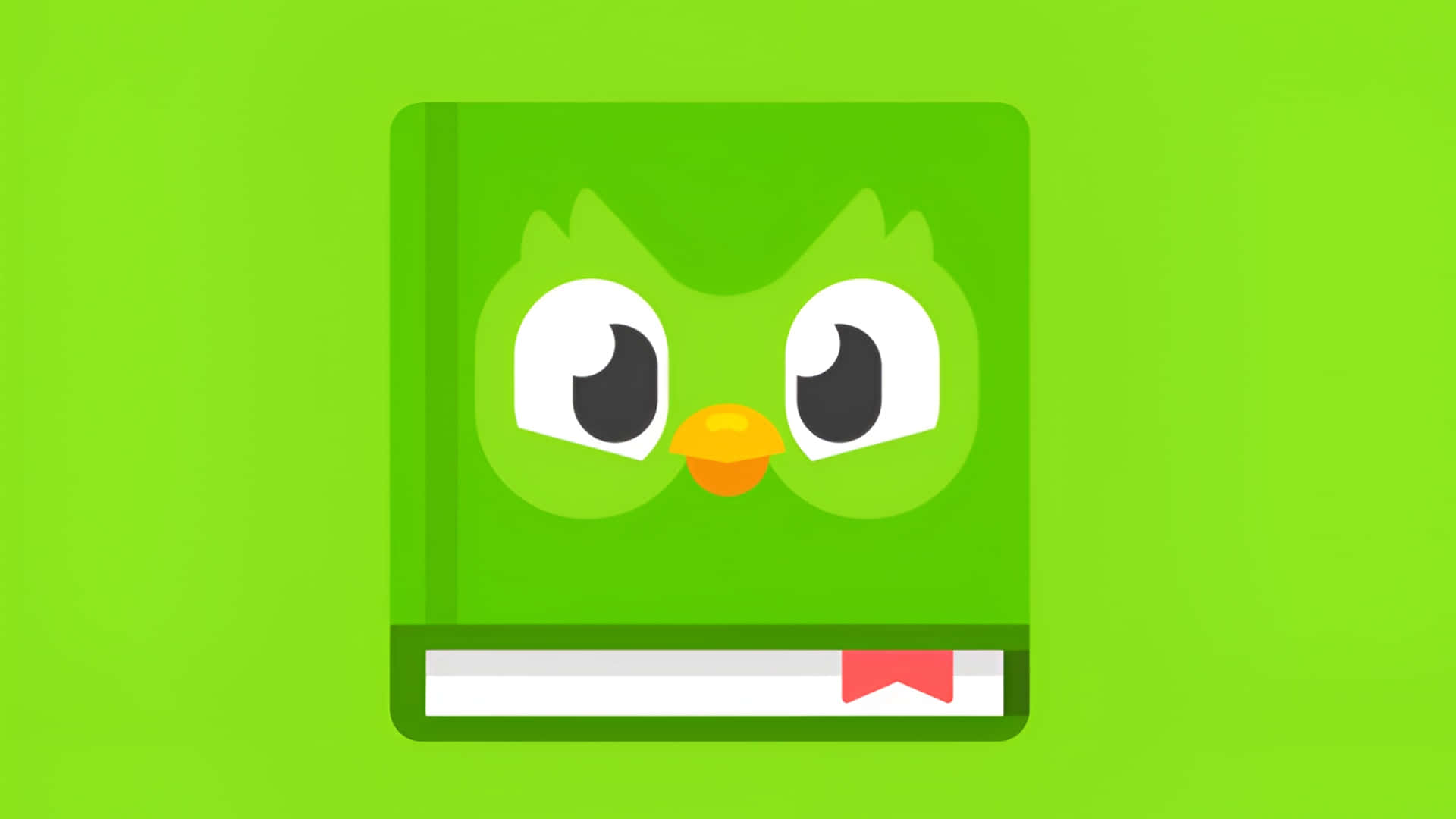 Duolingo, language learning app, cartoon owl face, Full HD Desktop Wallpaper