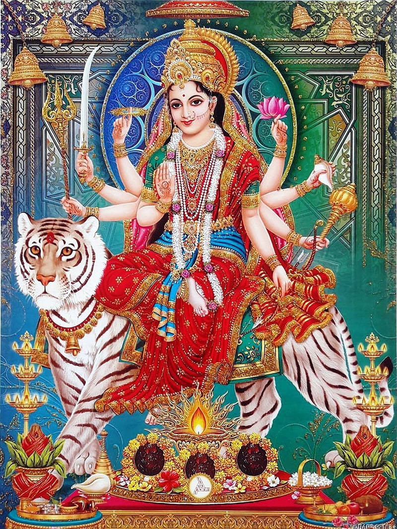 Durga Devi, red and gold attire, white tiger, SD Phone Wallpaper