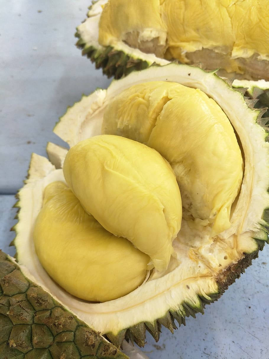 Durian, creamy yellow flesh, spiky green husk, SD Phone Wallpaper