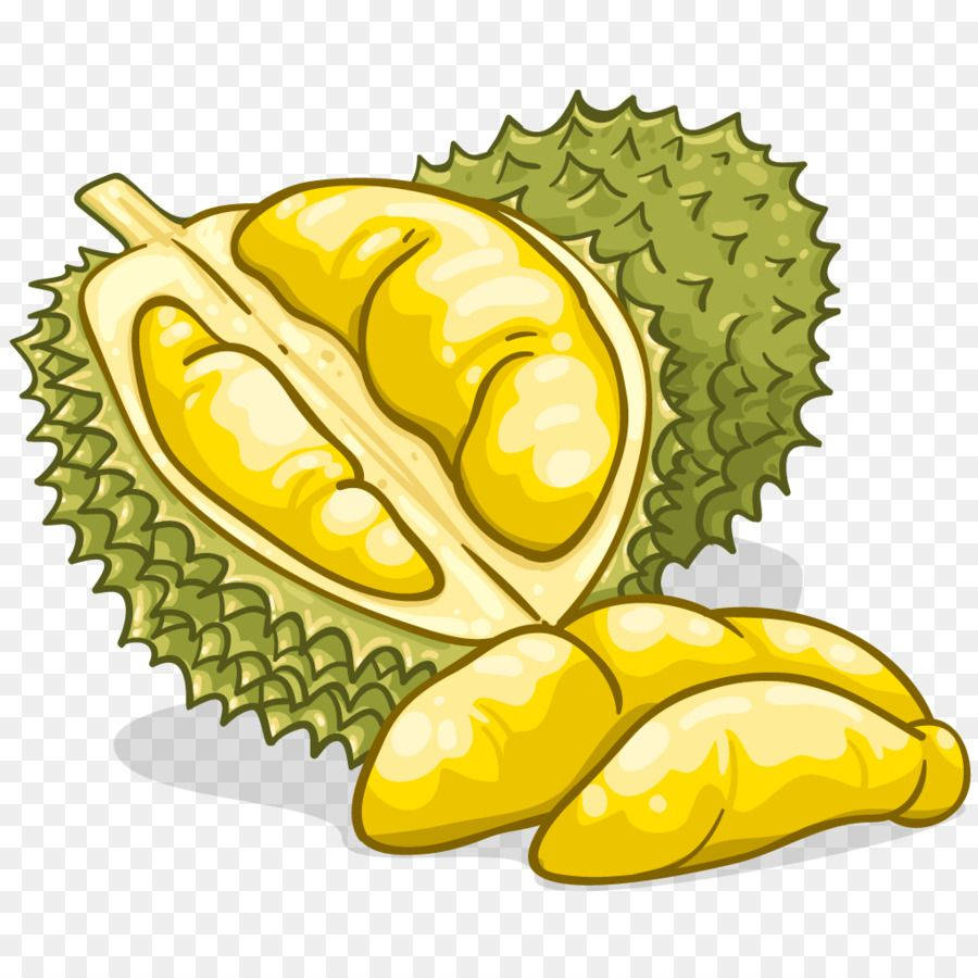 durian fruit, cartoon-style, creamy yellow flesh, SD Desktop Wallpaper