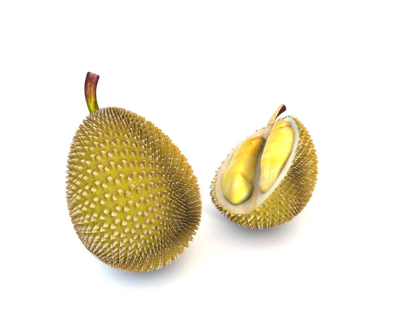durian, spiky green husk, creamy yellow flesh, HD Desktop Wallpaper