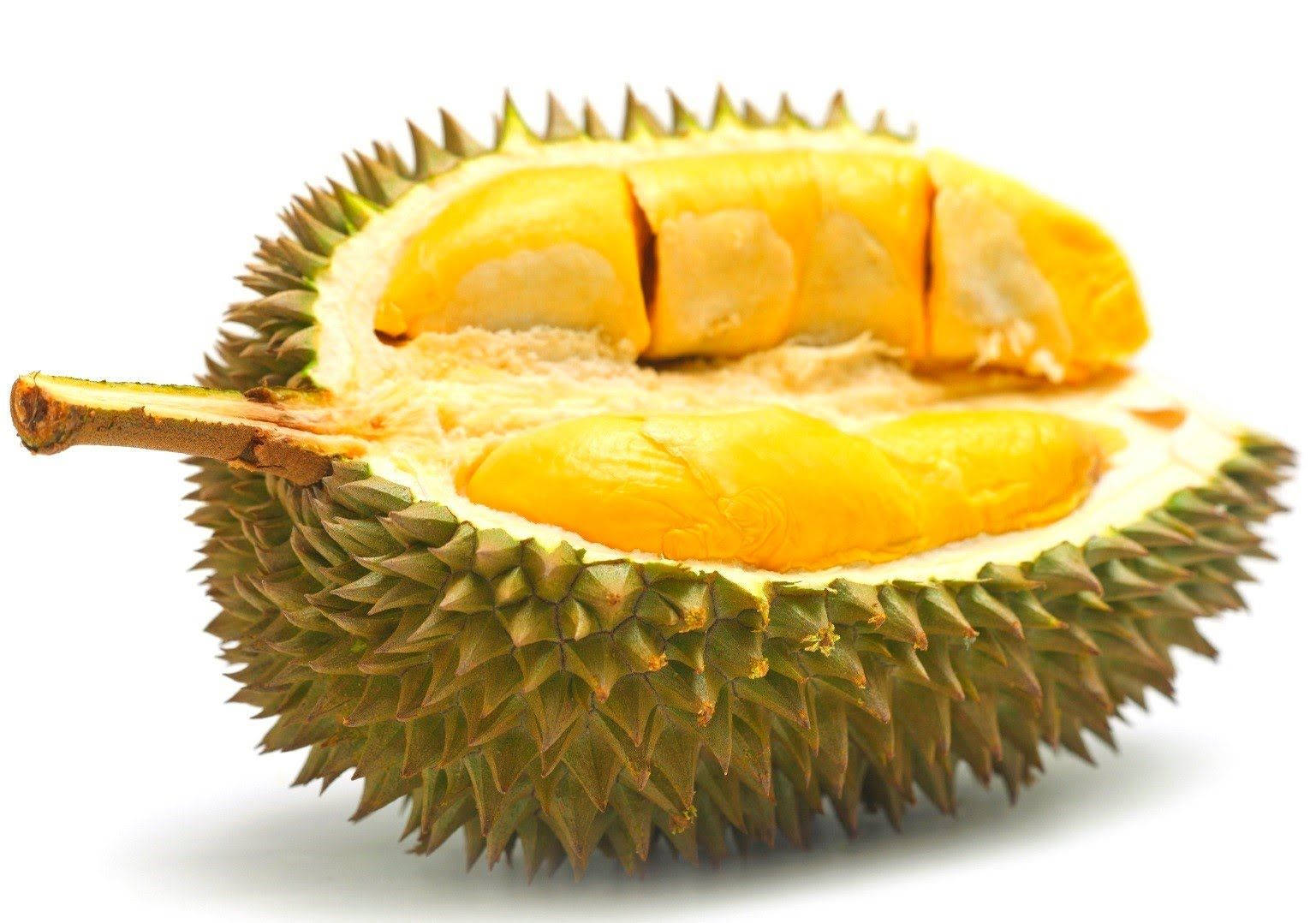 durian fruit, creamy yellow flesh, stark white background, HD Desktop Wallpaper